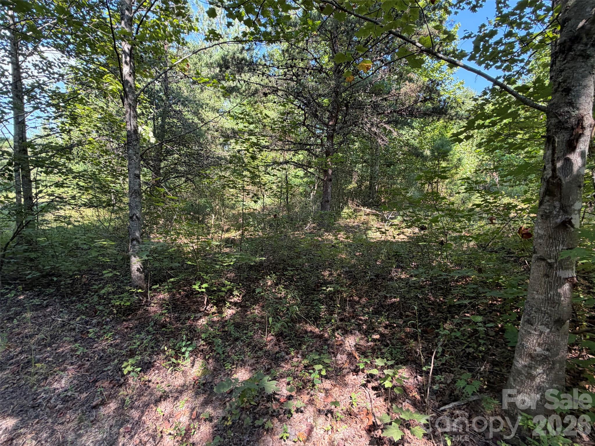 Acreage at TBD Southern Way, Nebo, photo 18 of 47