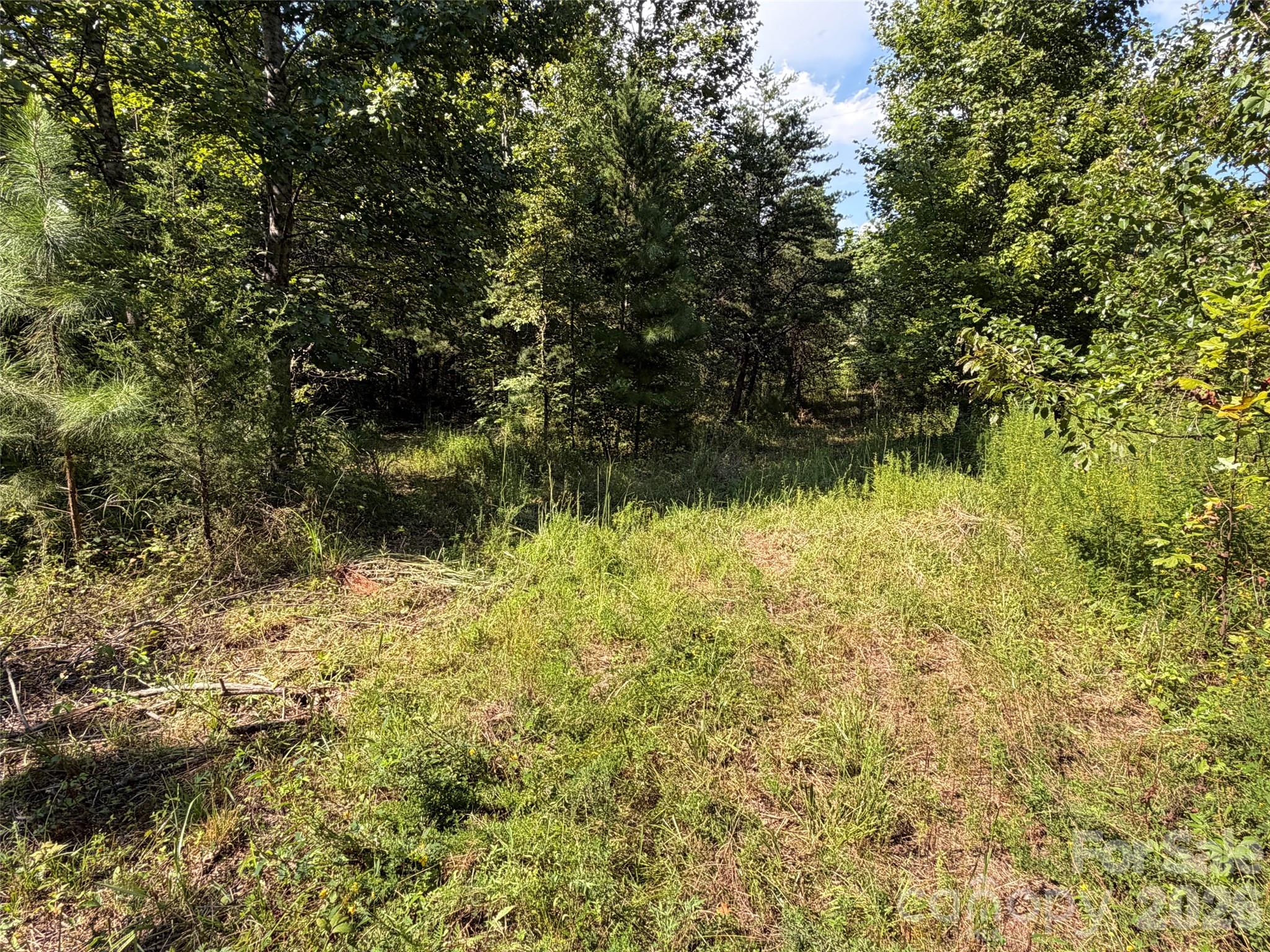 Acreage at TBD Southern Way, Nebo, photo 23 of 47