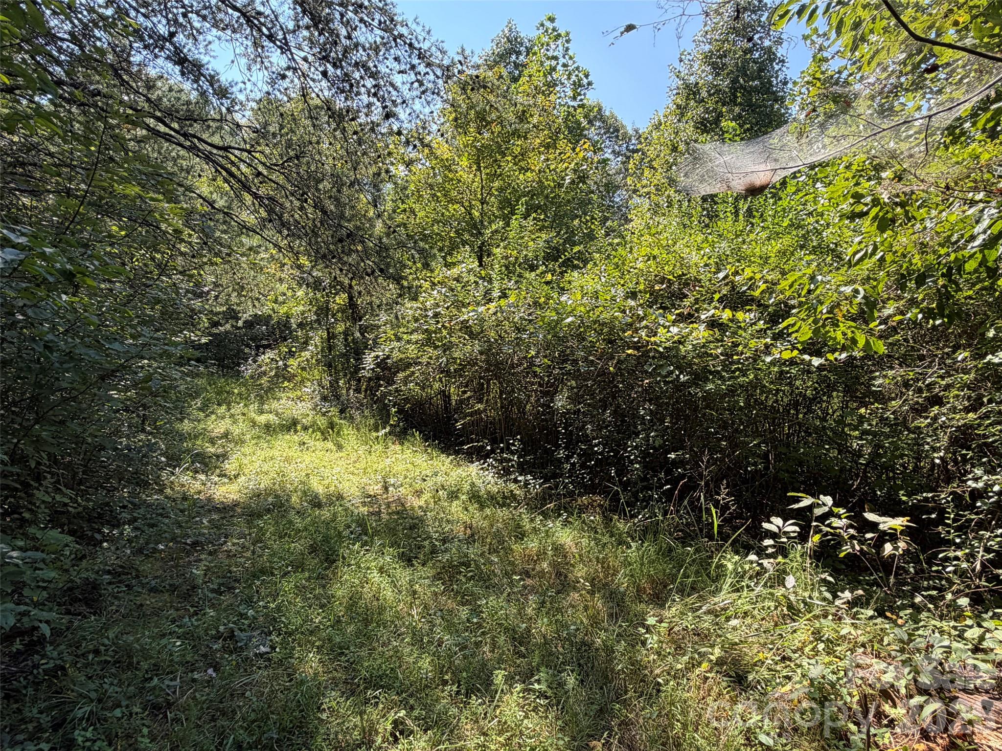 Acreage at TBD Southern Way, Nebo, photo 24 of 47