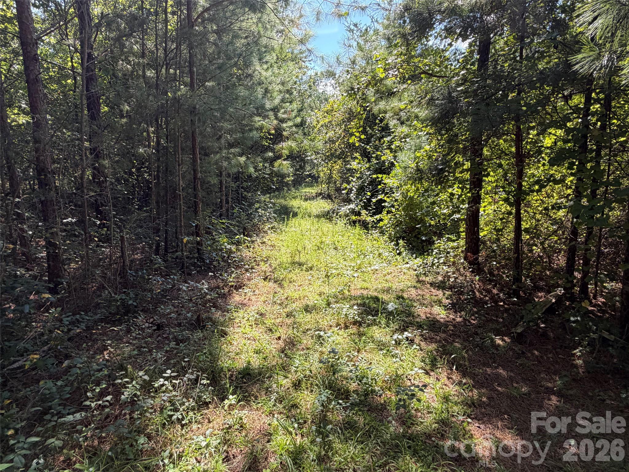Acreage at TBD Southern Way, Nebo, photo 26 of 47