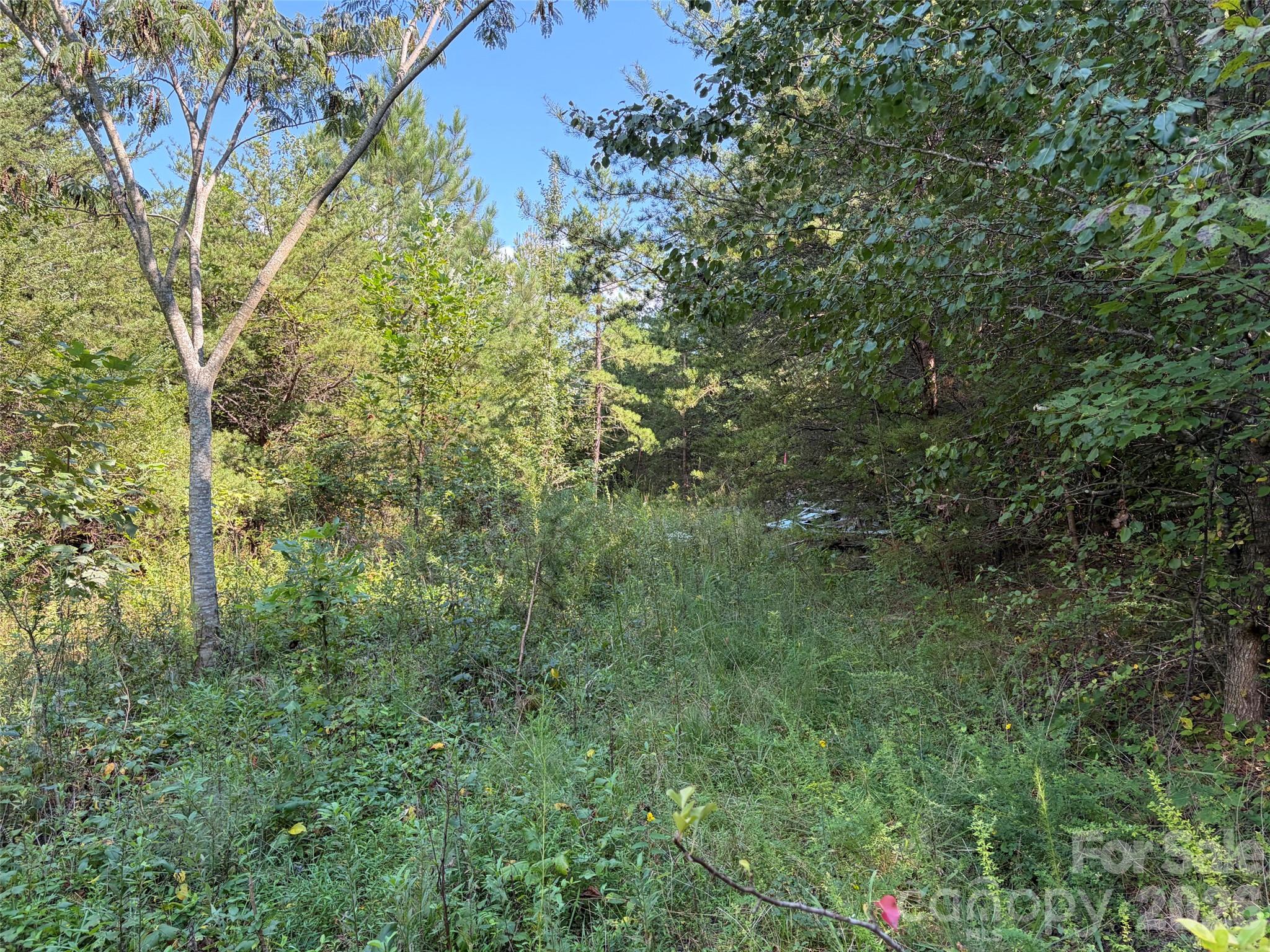 Acreage at TBD Southern Way, Nebo, photo 32 of 47