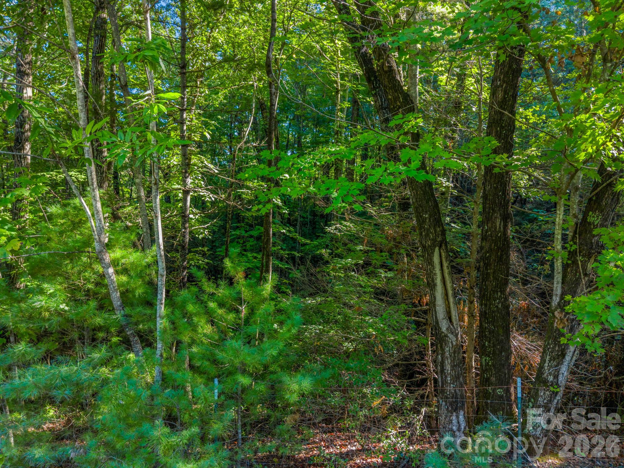 Lot at 122 Bridgewater Drive, Marion, photo 7 of 12