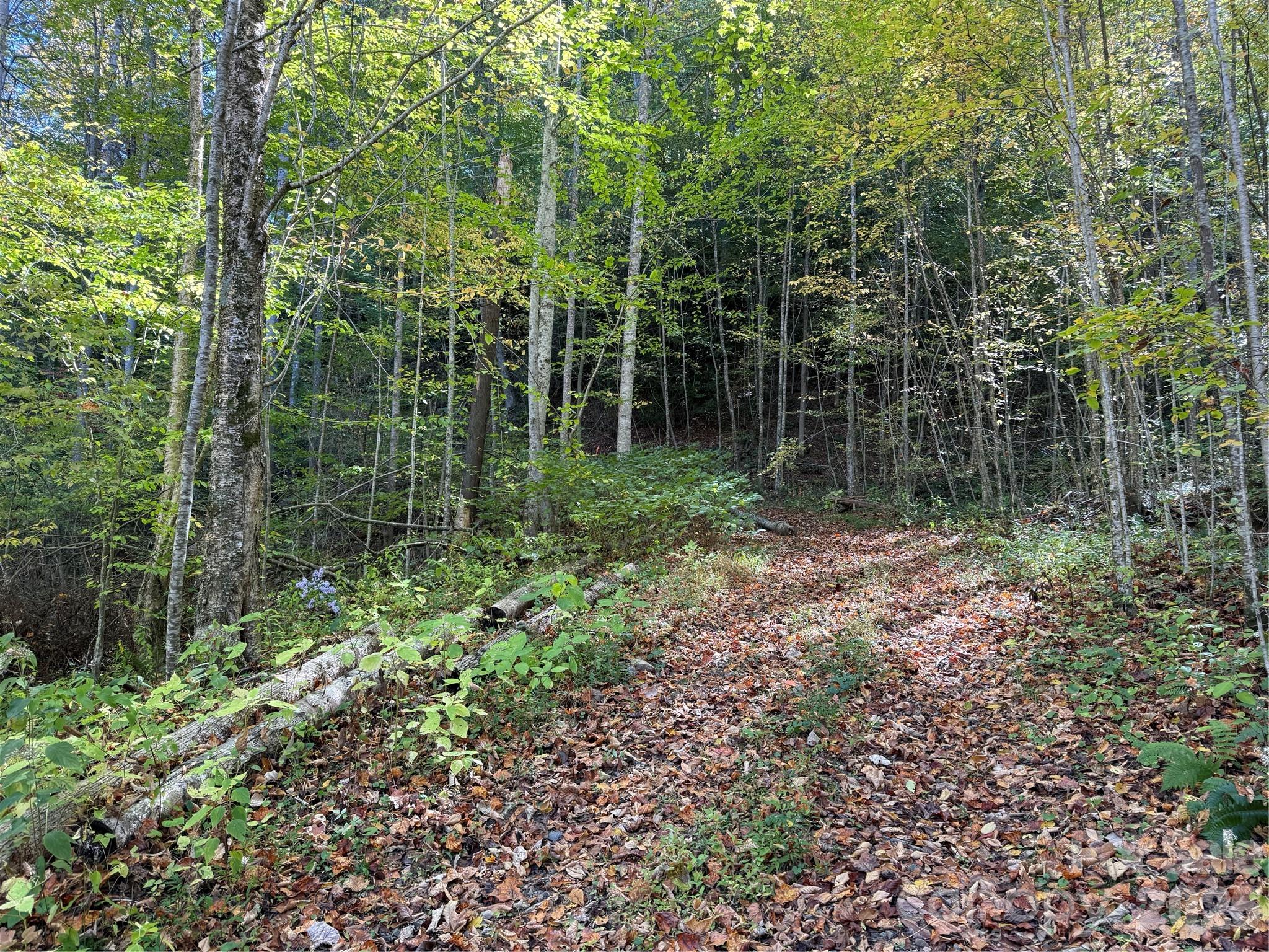 Acreage at 000 Hamburg Road, Mars Hill, photo 18 of 32