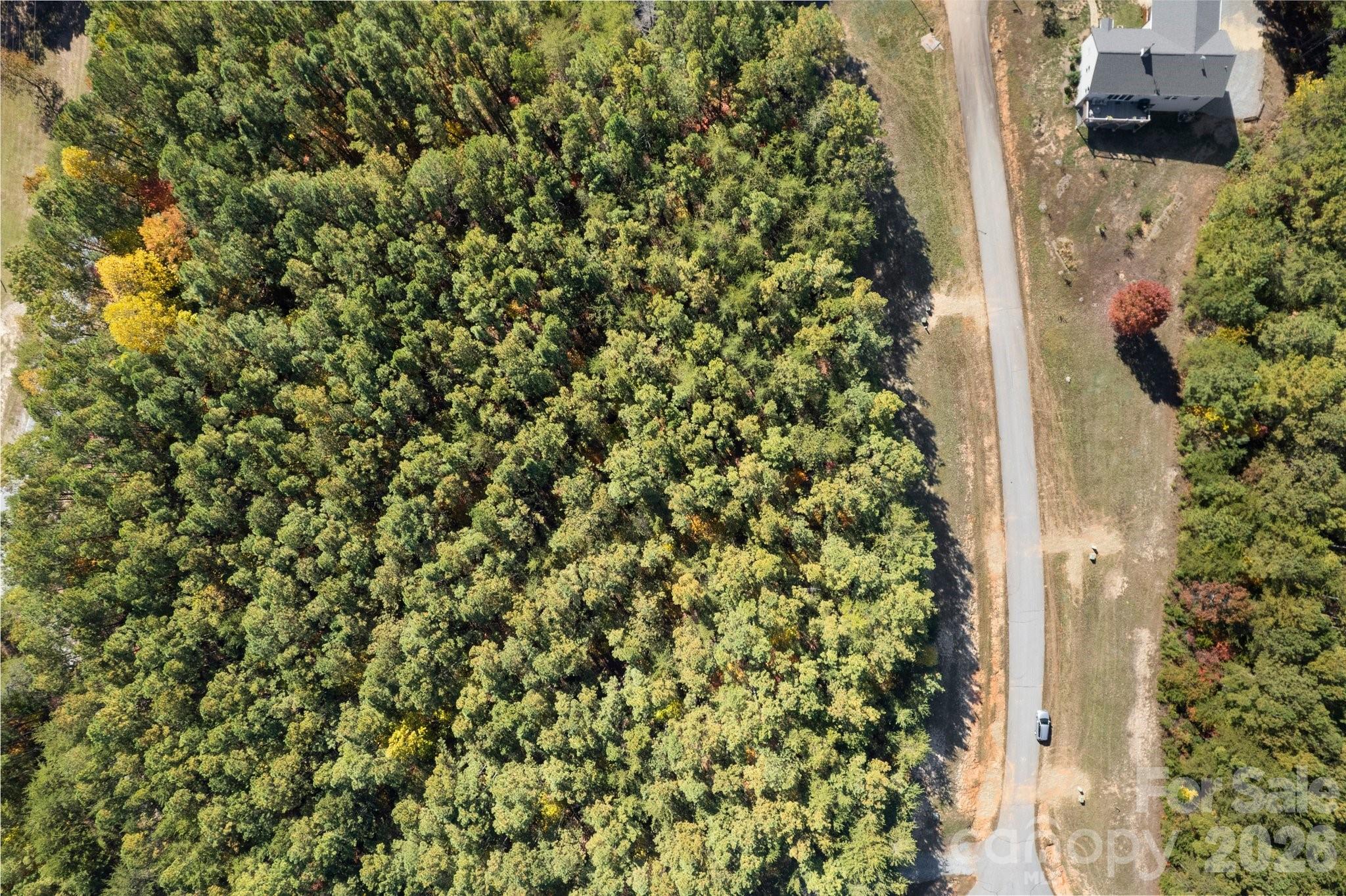 Lot at 0 Palisade Drive, Rutherfordton, photo 10 of 18
