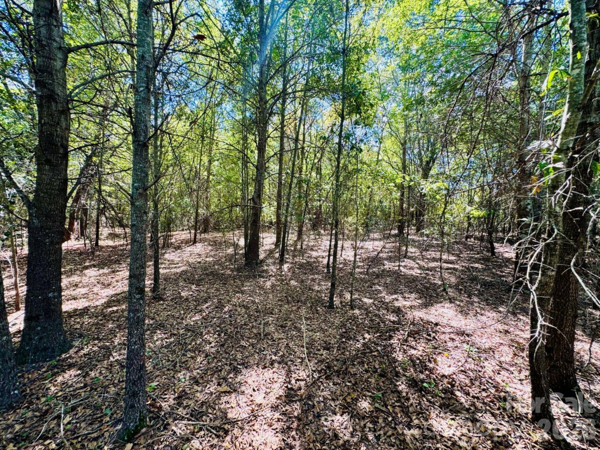 Lot at Lot 166 Brangus Lane, Cheraw, photo 4 of 10