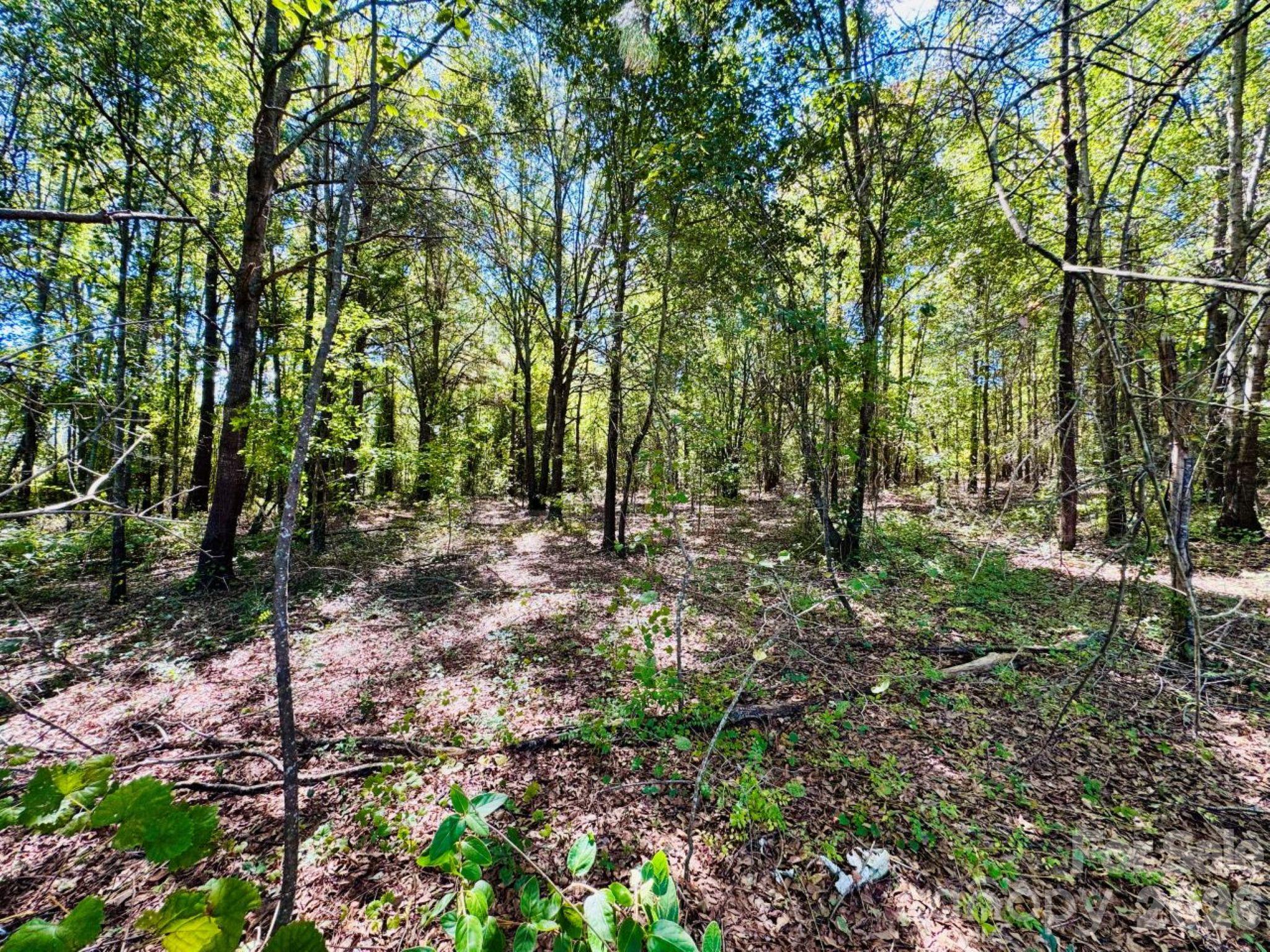 Lot at Lot 166 Brangus Lane, Cheraw, photo 5 of 10