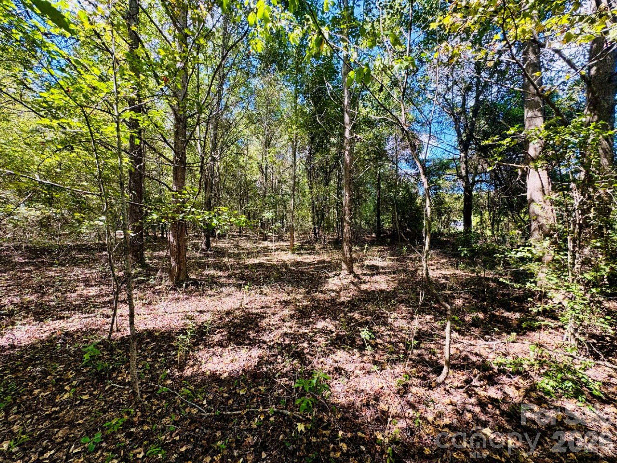 Lot at Lot 166 Brangus Lane, Cheraw, photo 6 of 10