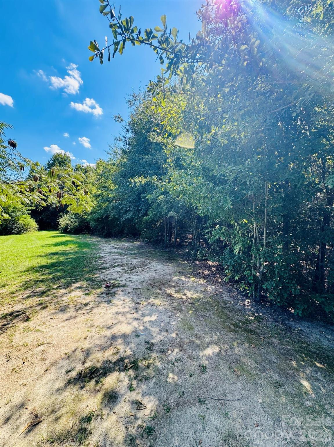 Lot at Lot 166 Brangus Lane, Cheraw, photo 7 of 10