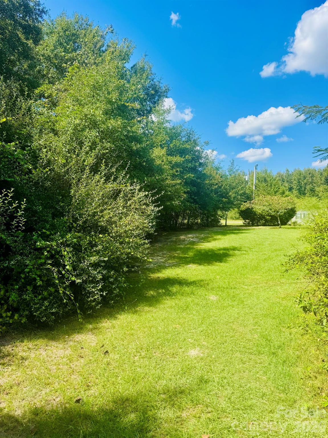 Lot at Lot 166 Brangus Lane, Cheraw, photo 8 of 10