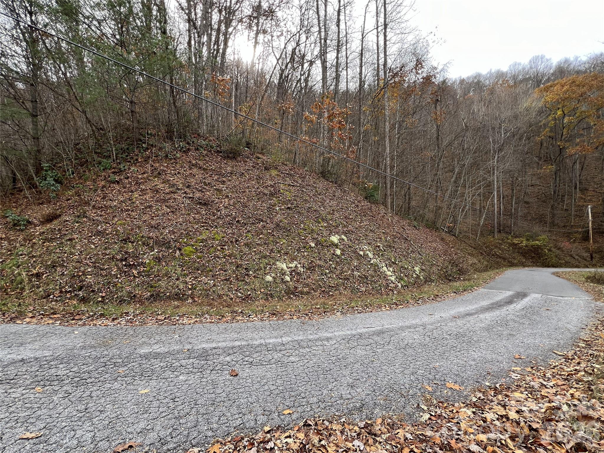 Lot at Lot 7 Deer Ridge Road, Bryson City, photo 2 of 8