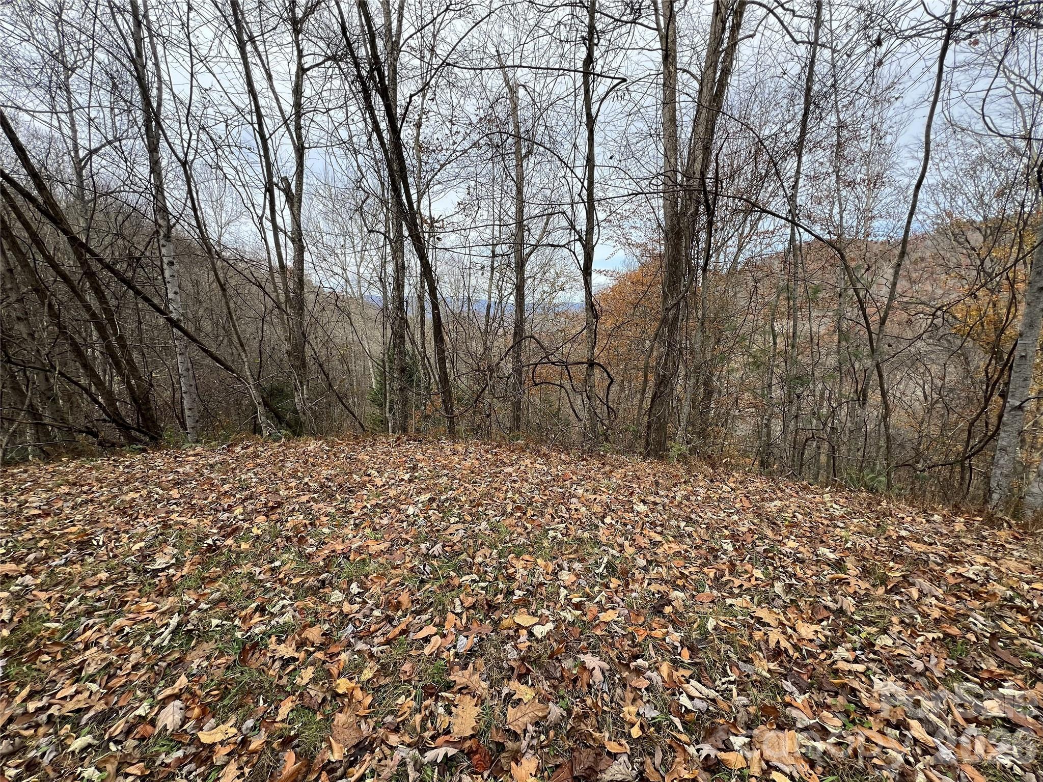 Lot at Lot 7 Deer Ridge Road, Bryson City, photo 3 of 8