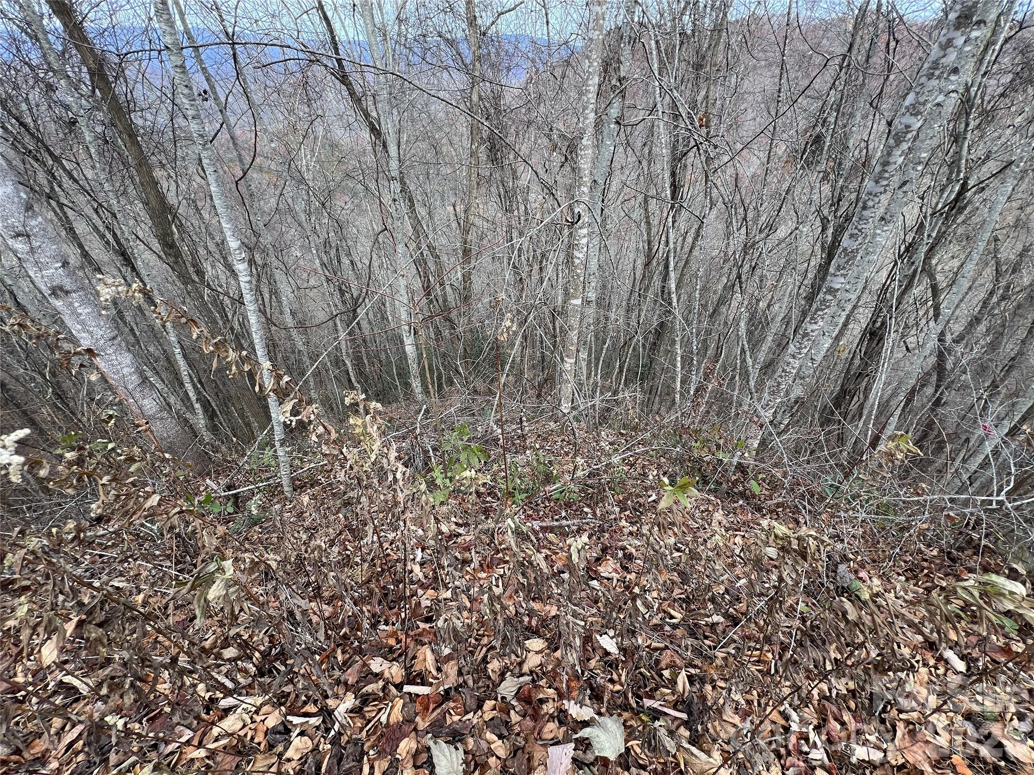 Lot at Lot 7 Deer Ridge Road, Bryson City, photo 4 of 8