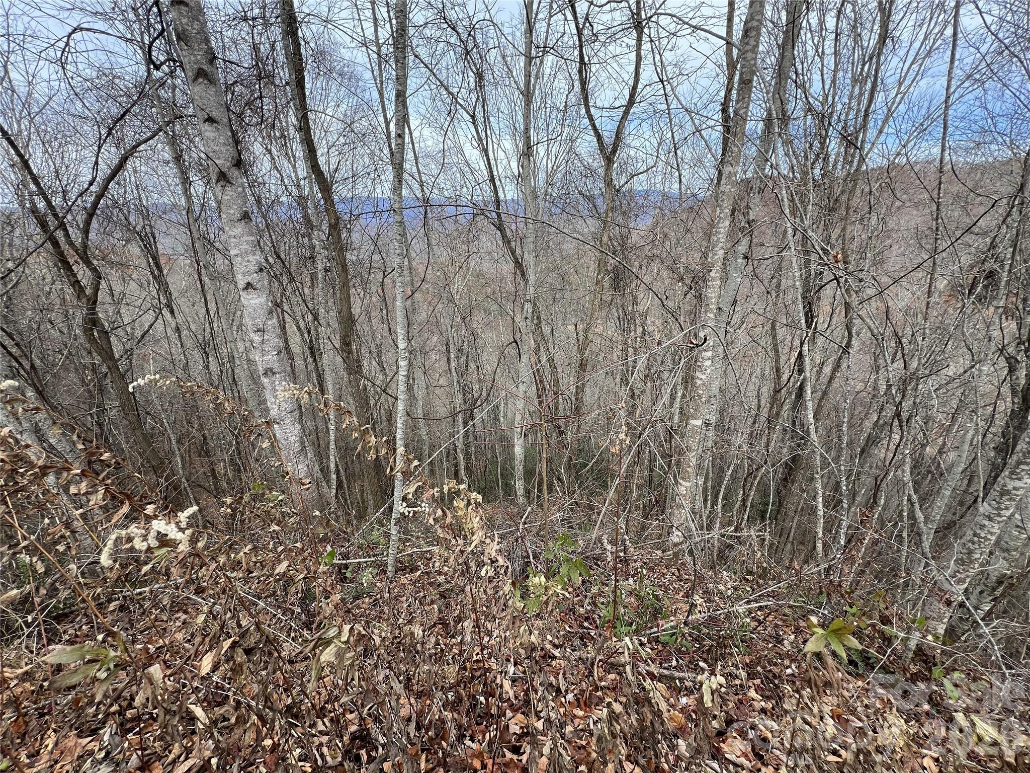 Lot at Lot 7 Deer Ridge Road, Bryson City, photo 5 of 8