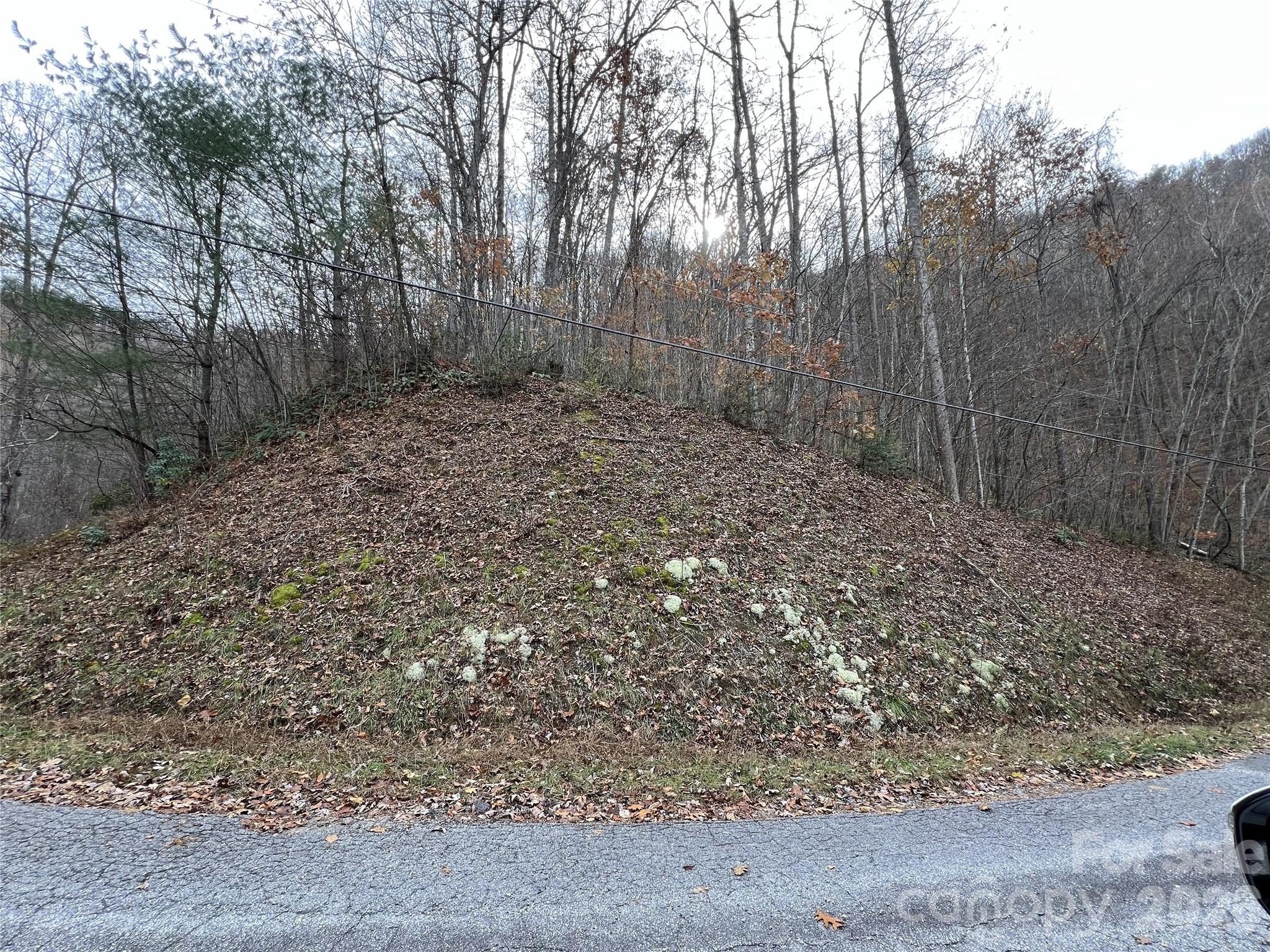 Lot at Lot 7 Deer Ridge Road, Bryson City, photo 7 of 8