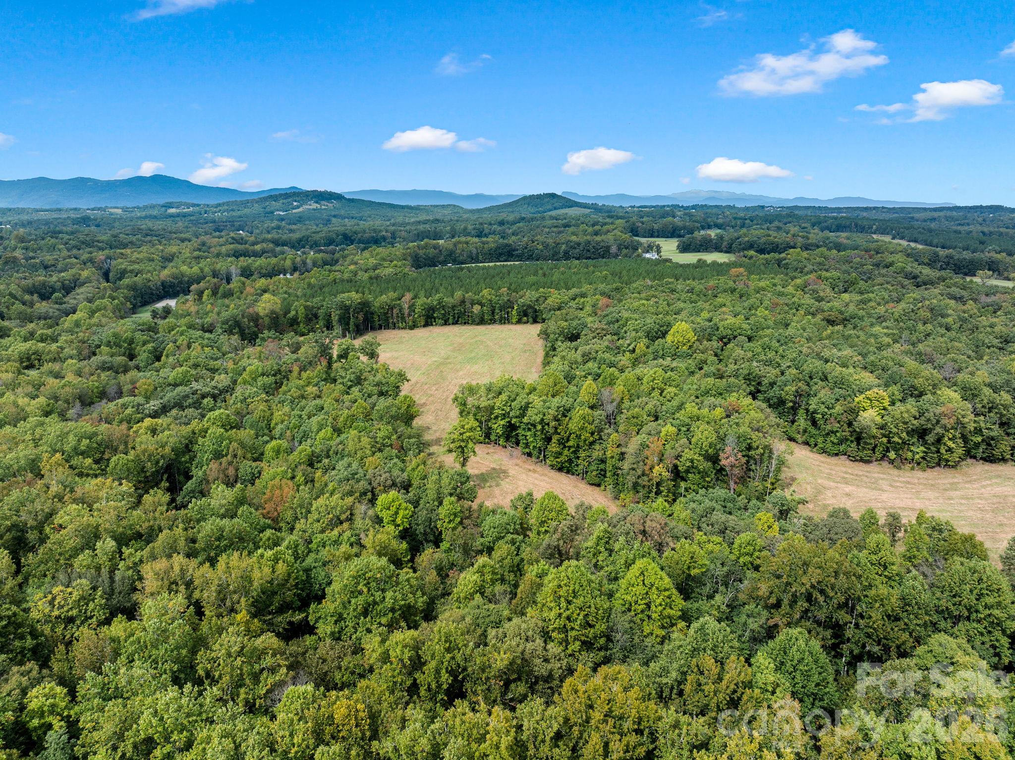 Acreage at TBD Collinsville Road, Columbus, photo 11 of 20