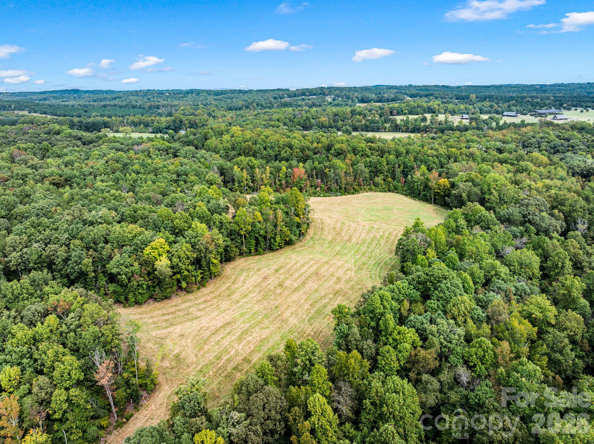 Acreage at TBD Collinsville Road, Columbus, photo 13 of 20