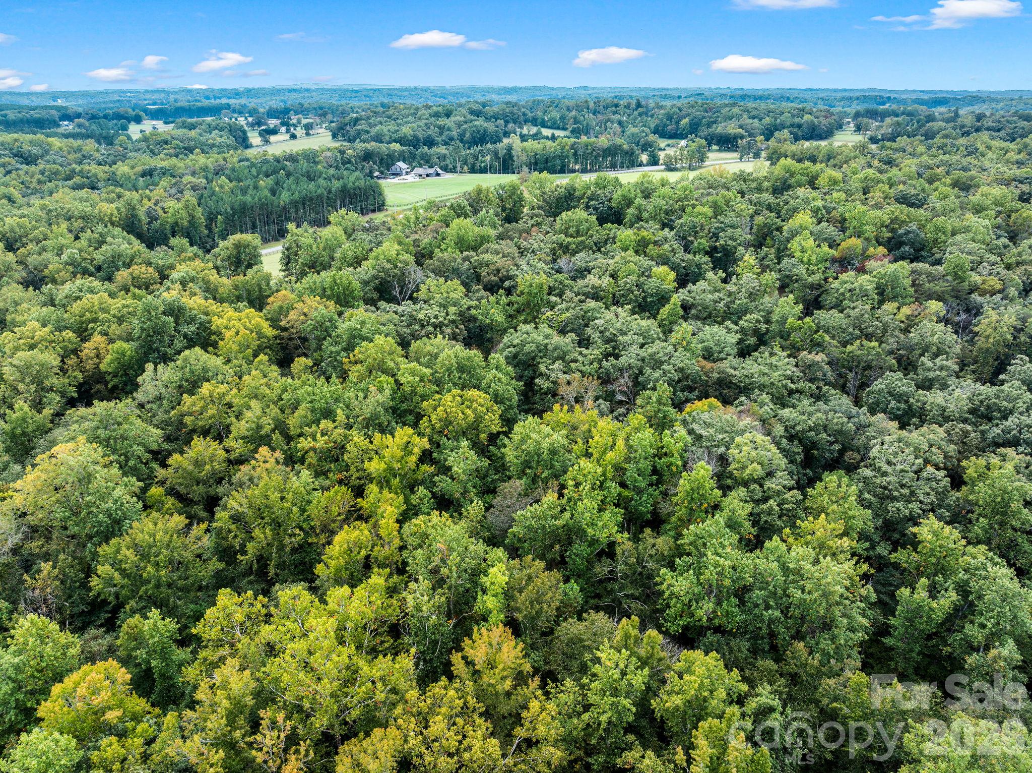Acreage at TBD Collinsville Road, Columbus, photo 17 of 20