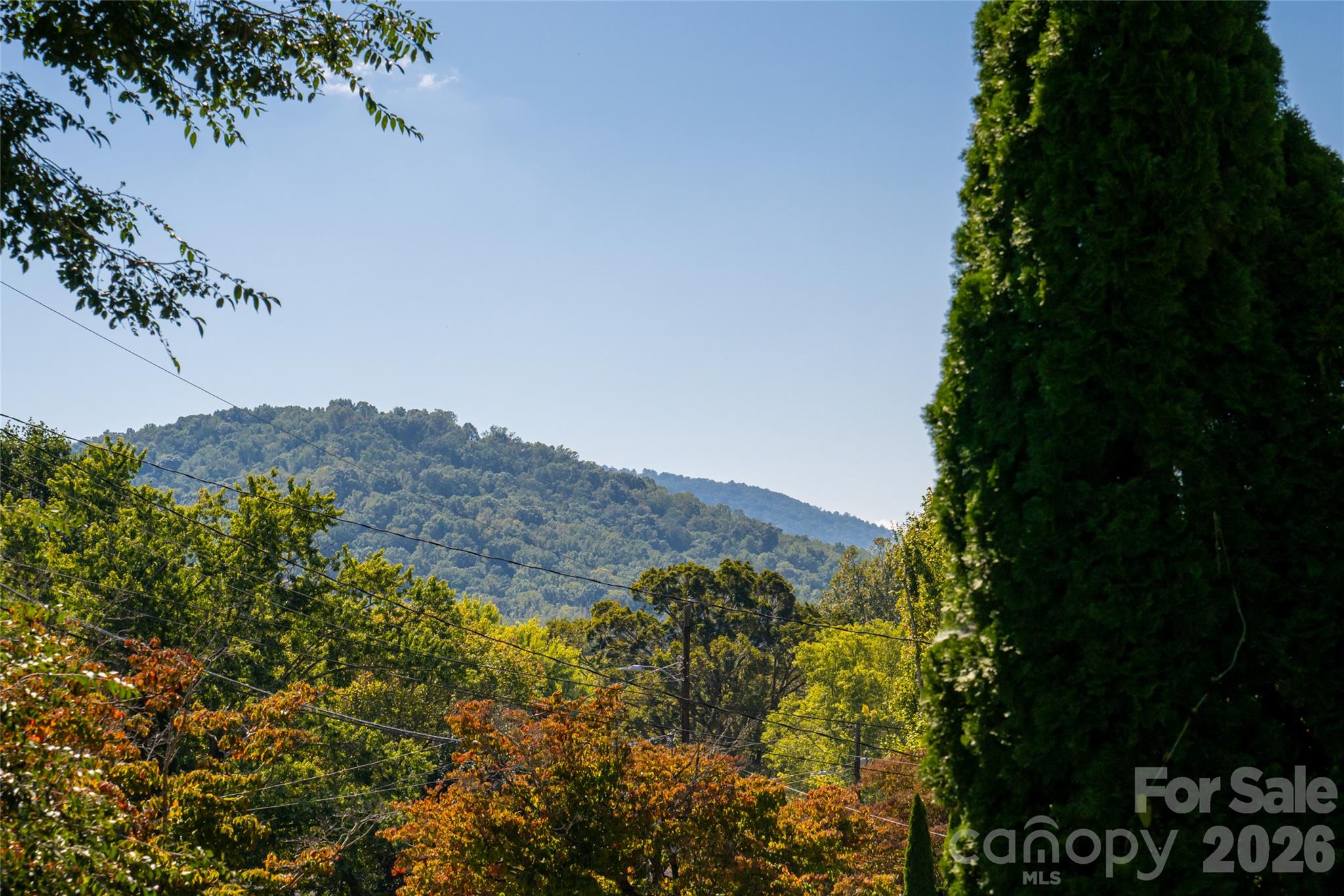 Mountain view from front porch - 23 Wagon Road, Asheville