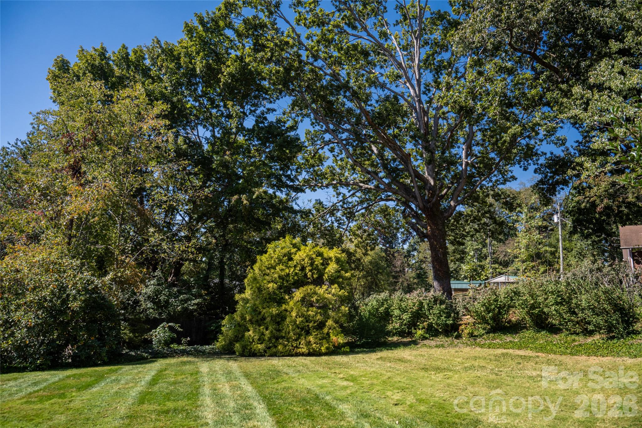 Backyard - 23 Wagon Road, Asheville
