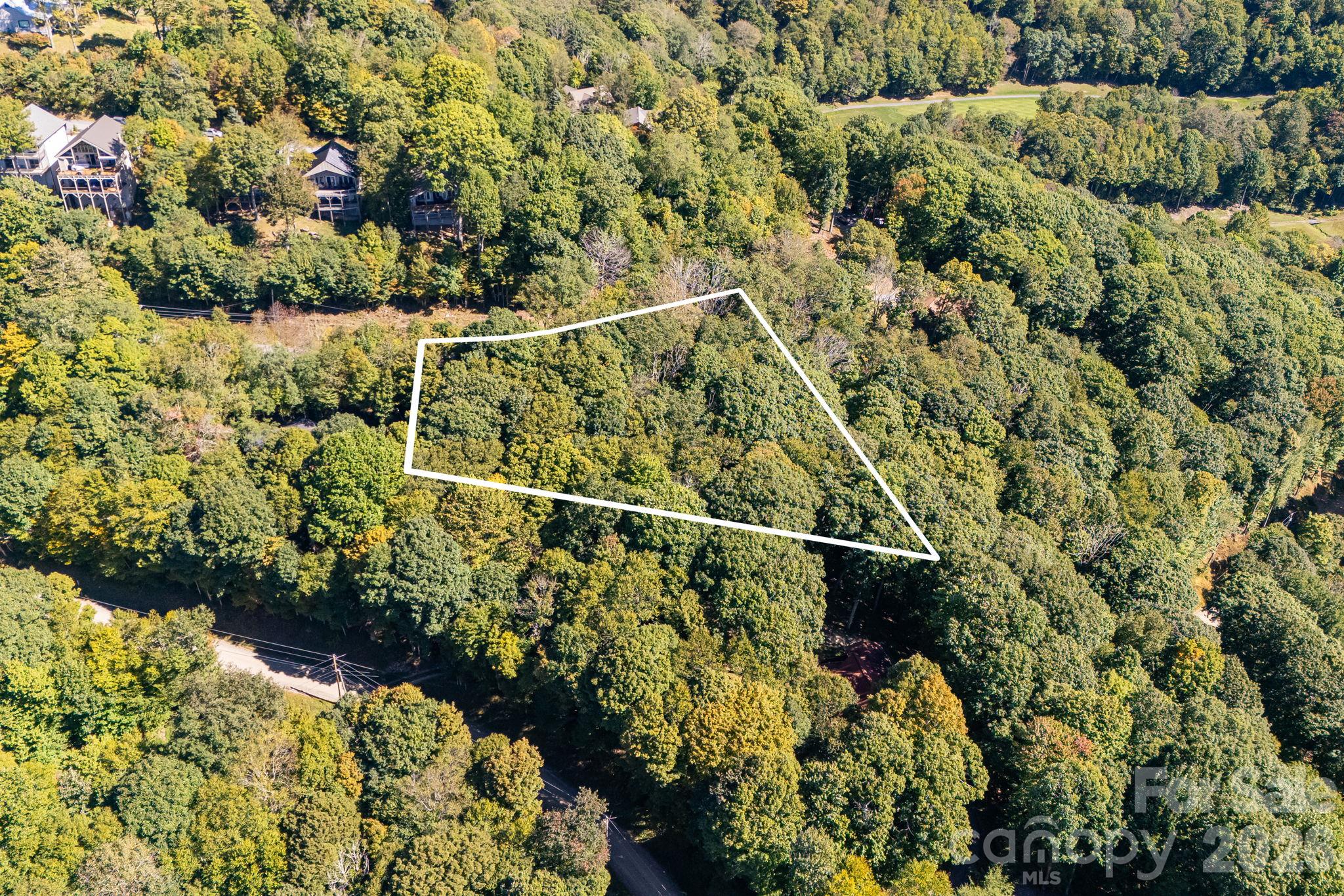 Lot at 731 McKinney Gap Drive, Mars Hill, photo 6 of 28
