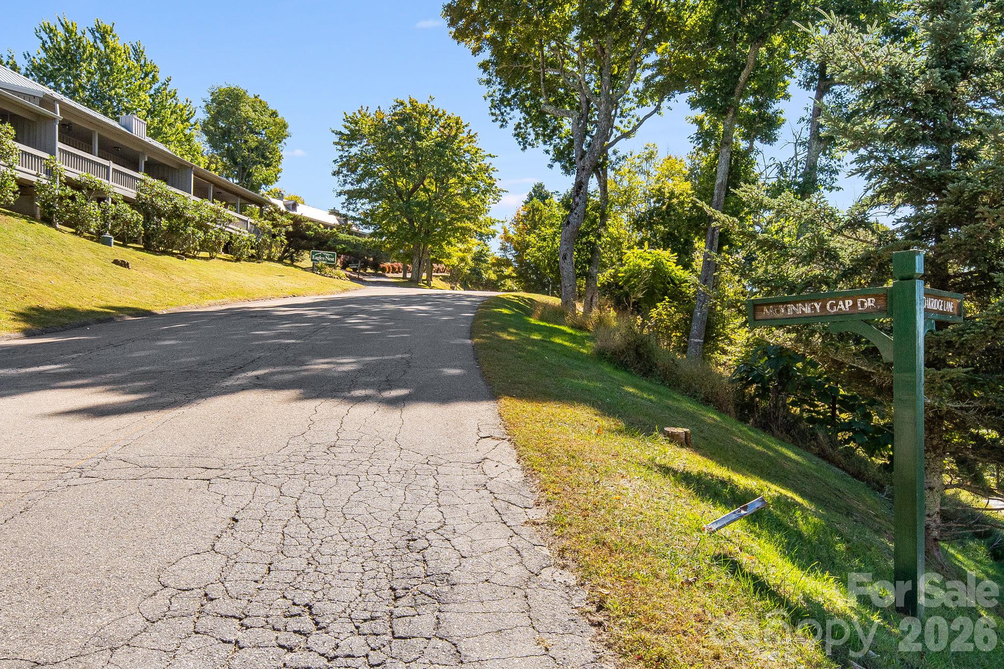 Lot at 731 McKinney Gap Drive, Mars Hill, photo 10 of 28
