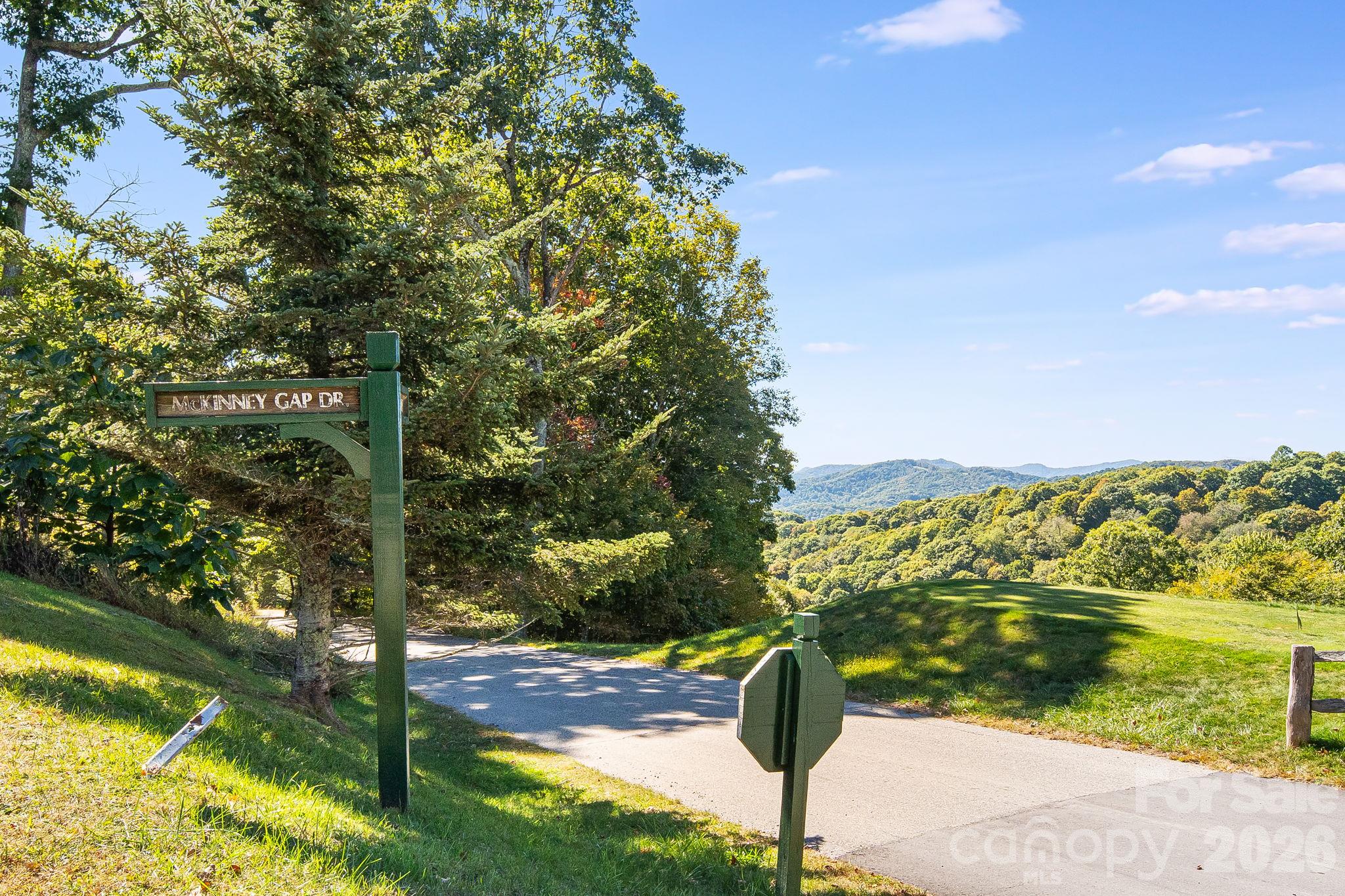 Lot at 731 McKinney Gap Drive, Mars Hill, photo 11 of 28