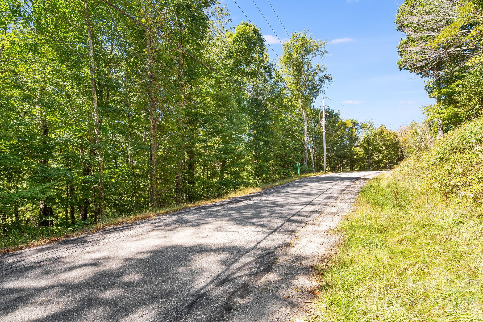 Lot at 731 McKinney Gap Drive, Mars Hill, photo 12 of 28