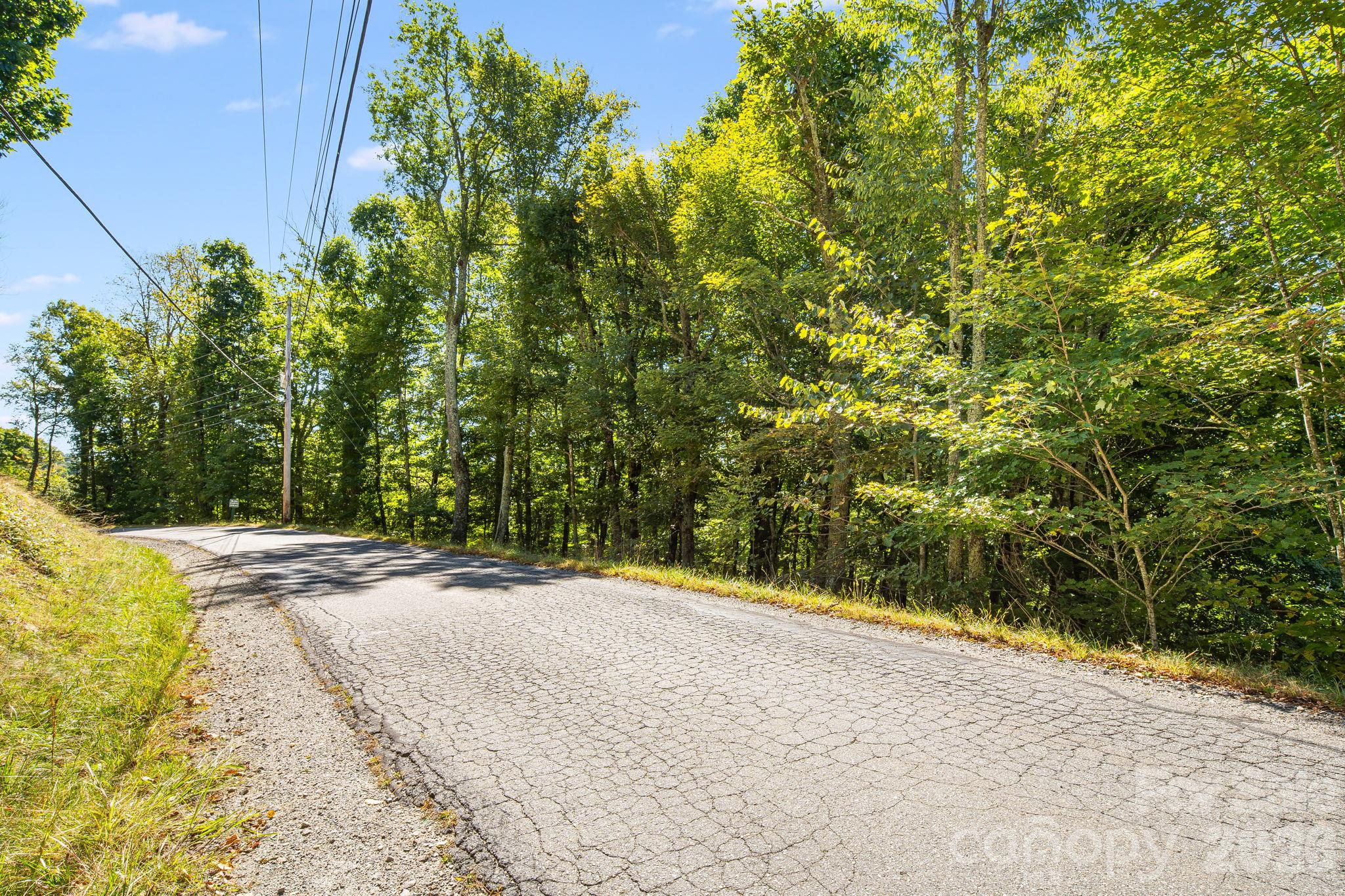 Lot at 731 McKinney Gap Drive, Mars Hill, photo 14 of 28