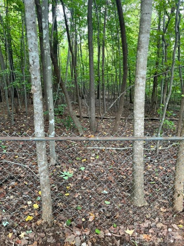 Another view of property outside of the fence approx 50 plus feet - 911 Freedom Mill None, Gastonia
