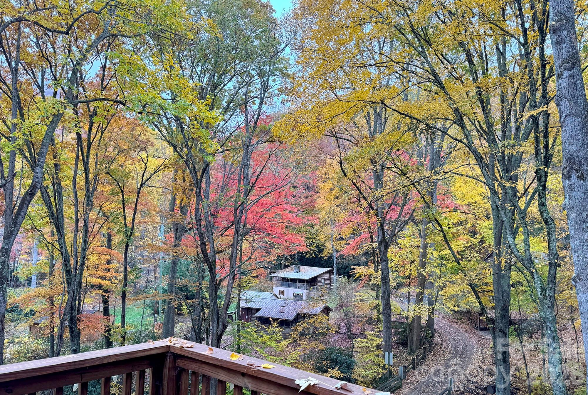 Fall views from the Cabin Deck - 500 Winter Star Road, Burnsville