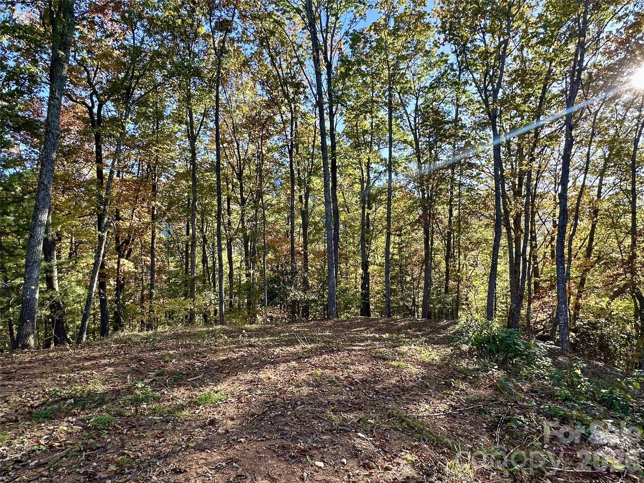 Lot at 534 Cicada Drive, Maggie Valley, photo 10 of 32
