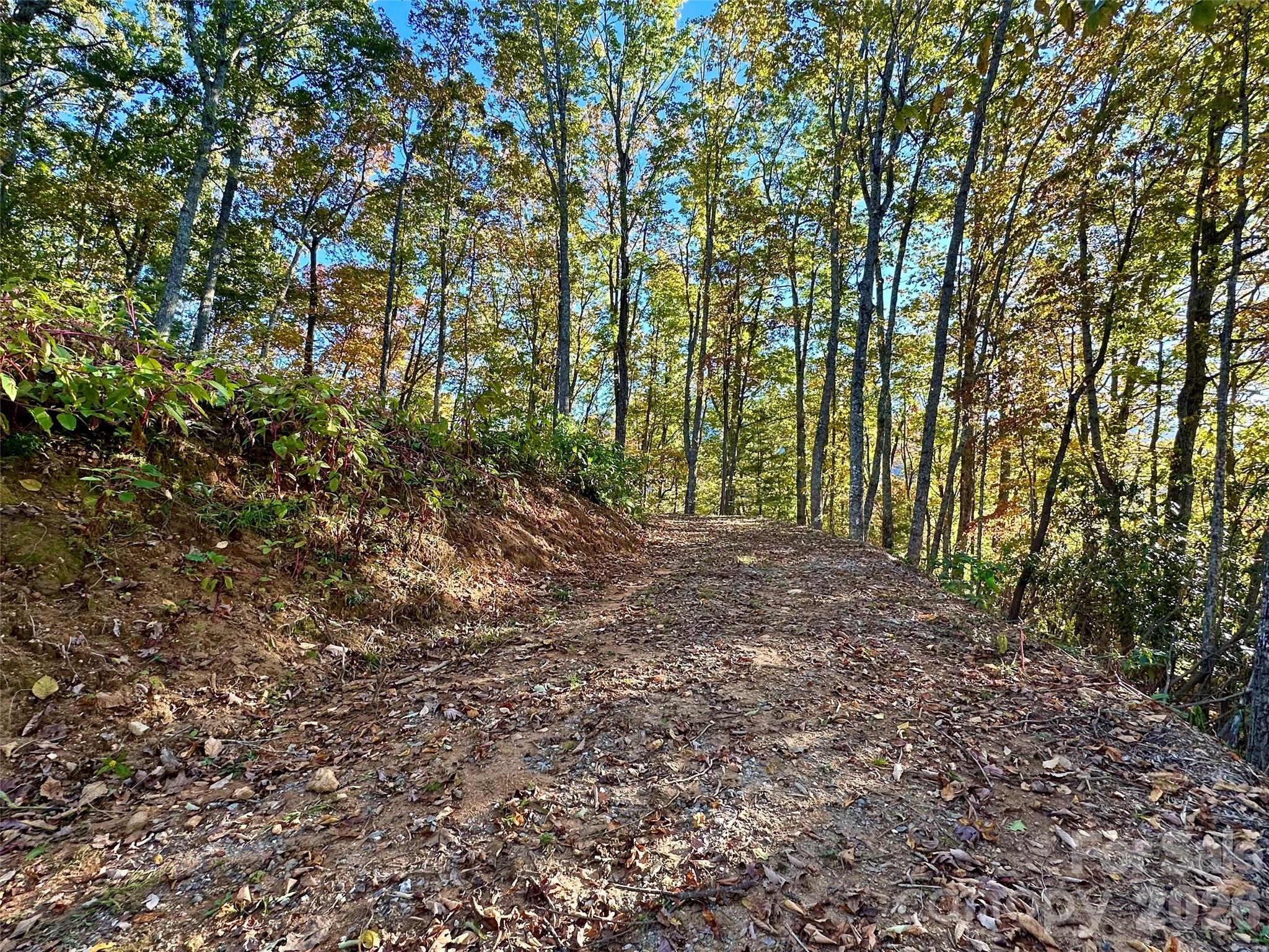 Lot at 534 Cicada Drive, Maggie Valley, photo 16 of 32