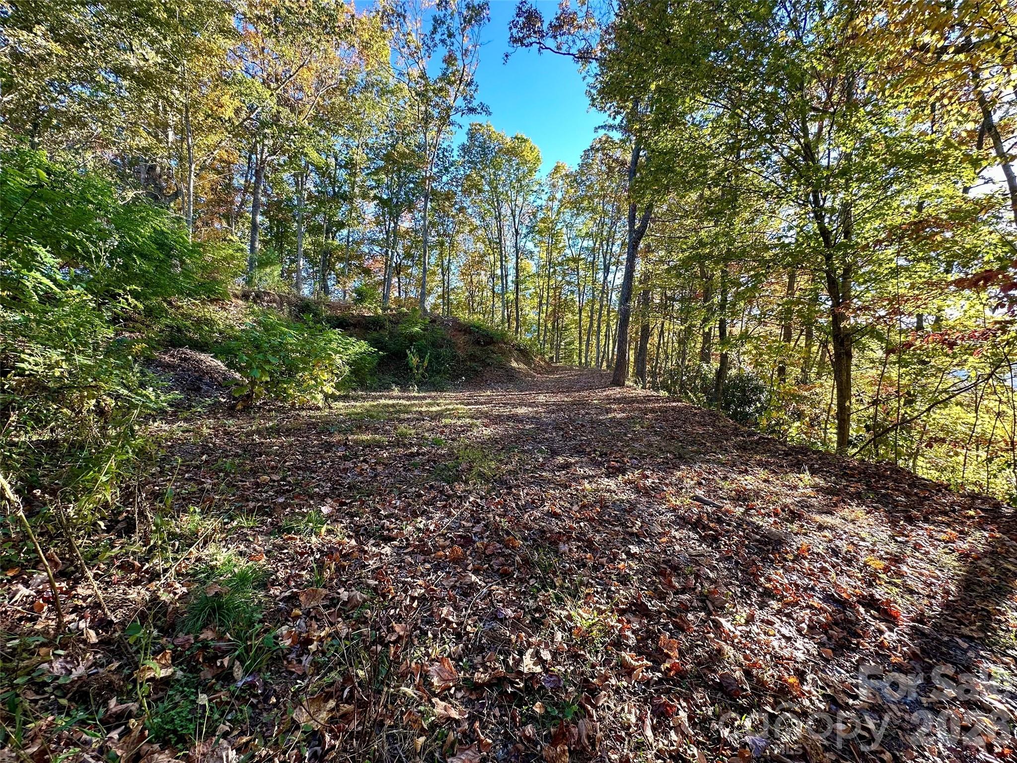 Lot at 534 Cicada Drive, Maggie Valley, photo 24 of 32
