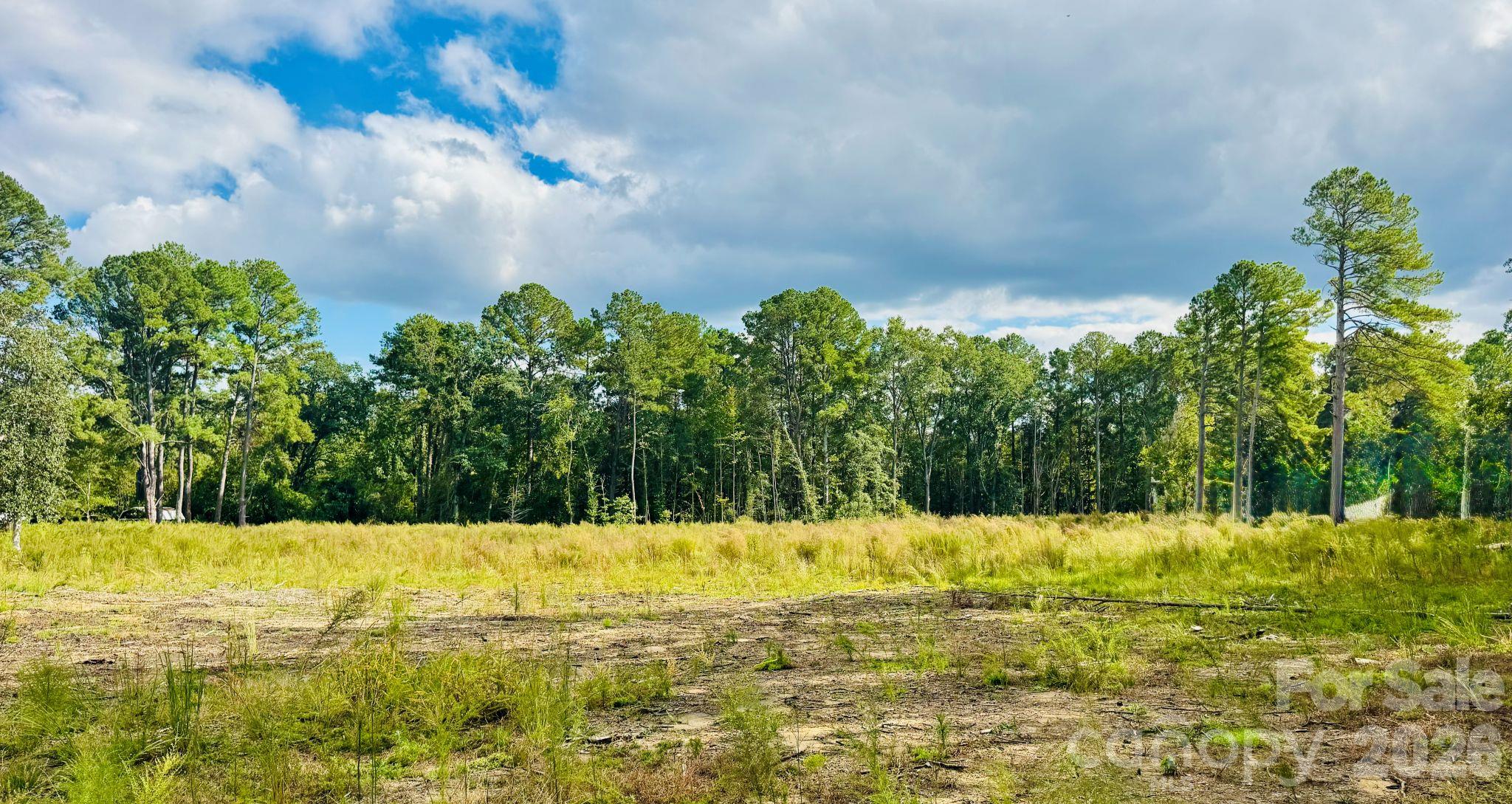 Acreage at 0000 State Road, Cheraw, photo 7 of 20