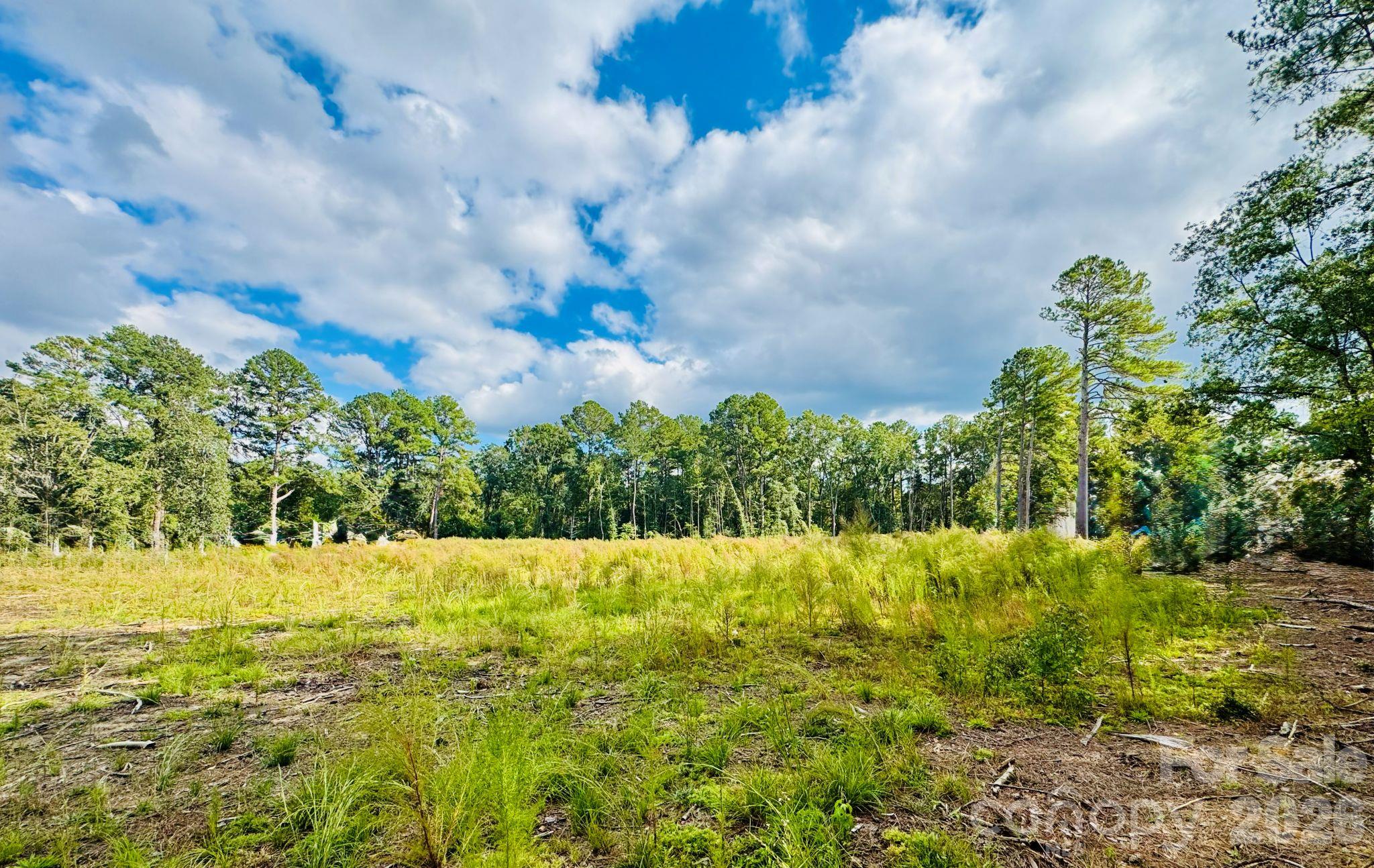 Acreage at 0000 State Road, Cheraw, photo 8 of 20