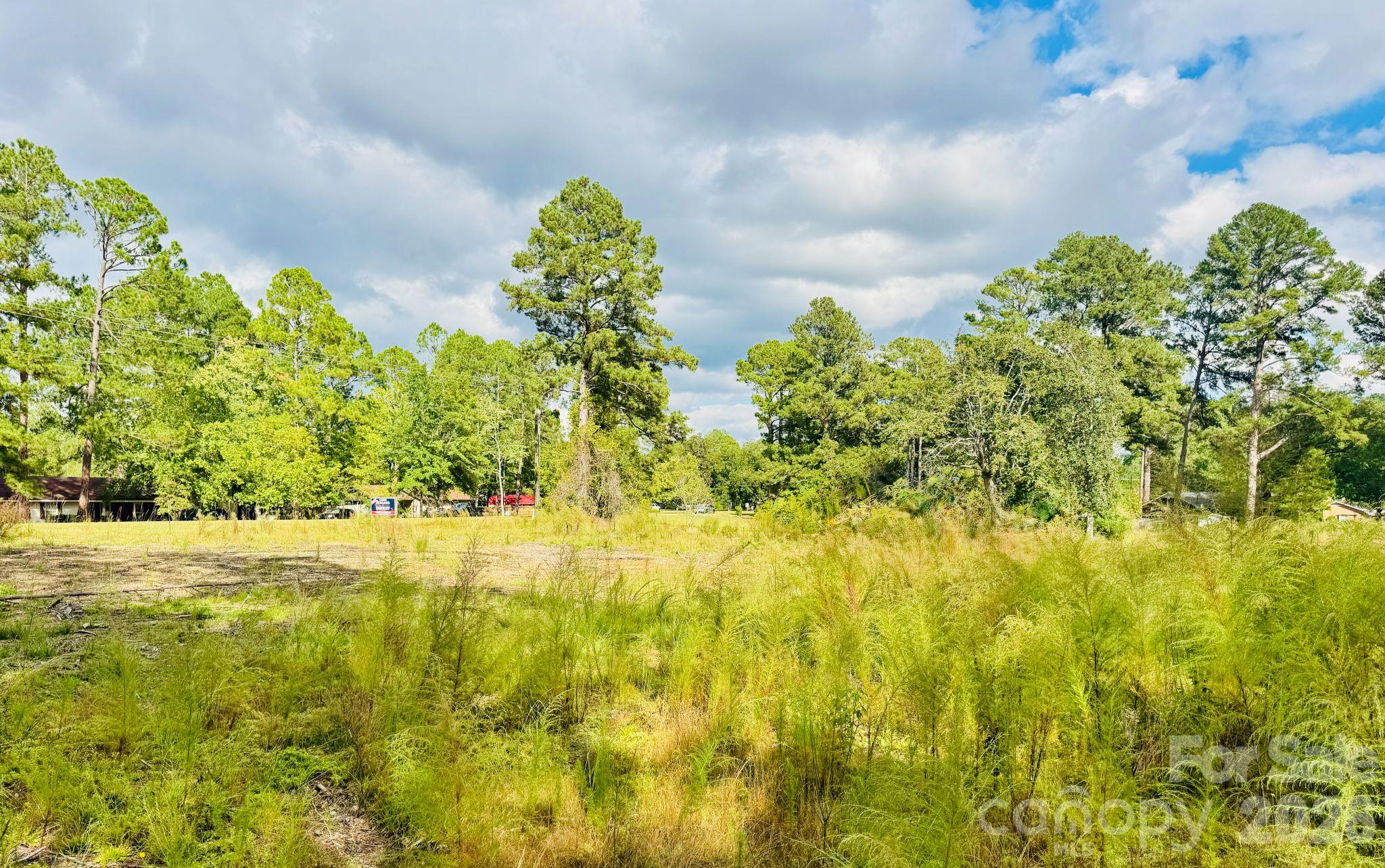 Acreage at 0000 State Road, Cheraw, photo 9 of 20