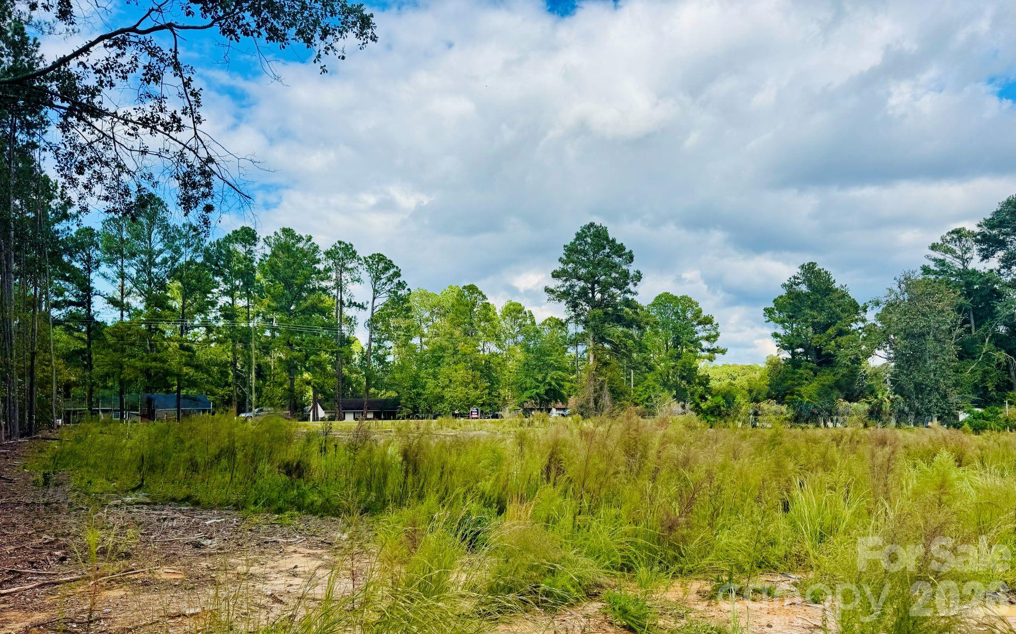 Acreage at 0000 State Road, Cheraw, photo 11 of 20