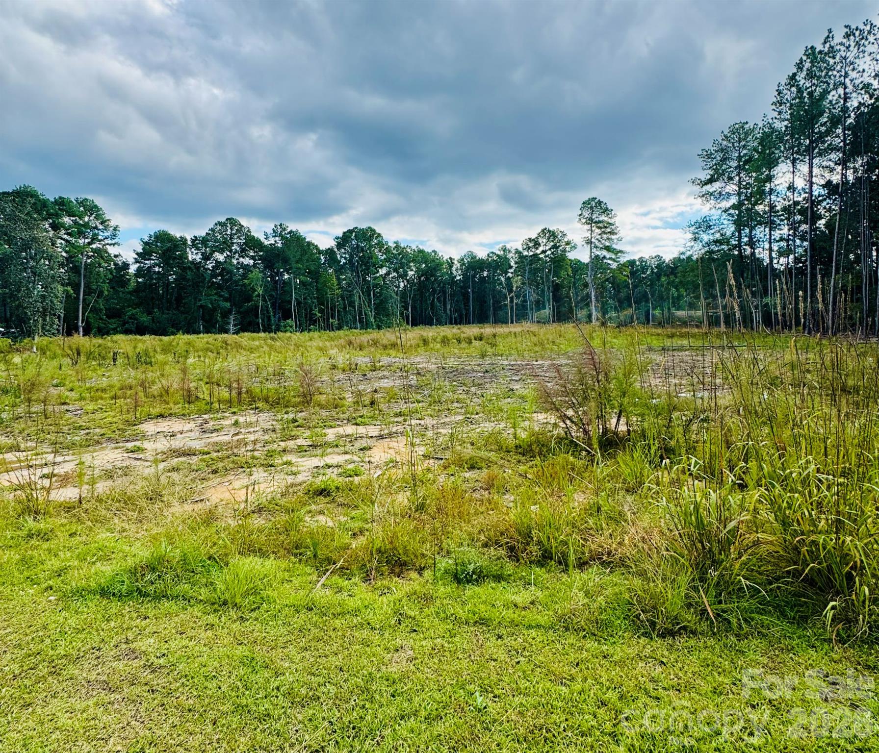 Acreage at 0000 State Road, Cheraw, photo 12 of 20