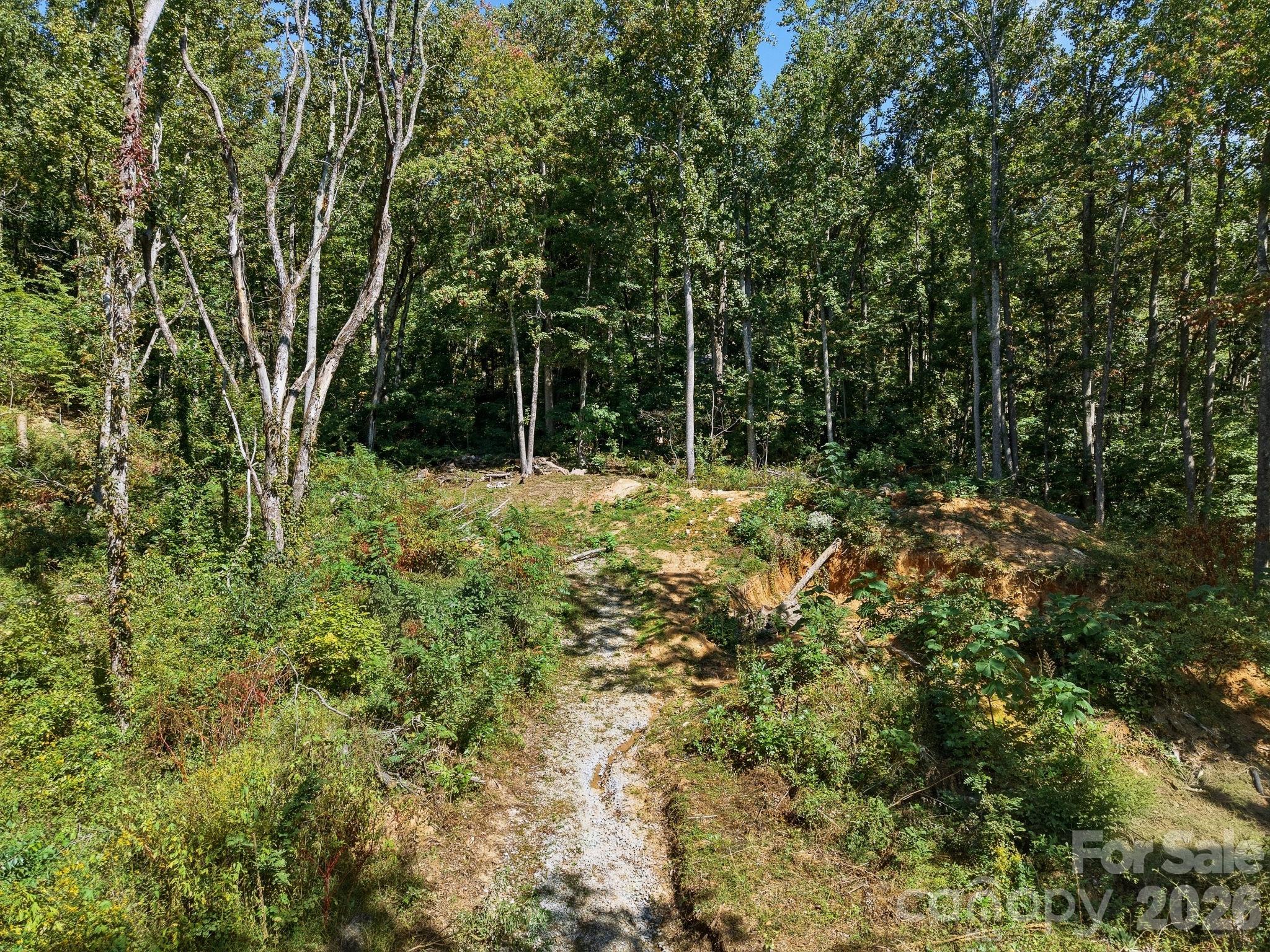 Lot at 6 Pioneer Lane, Hendersonville, photo 7 of 27