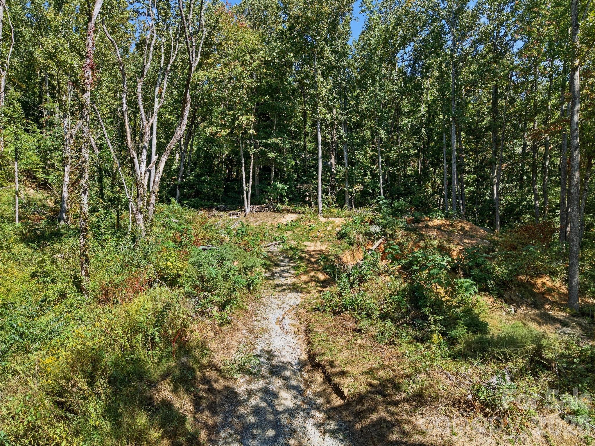 Lot at 6 Pioneer Lane, Hendersonville, photo 8 of 27