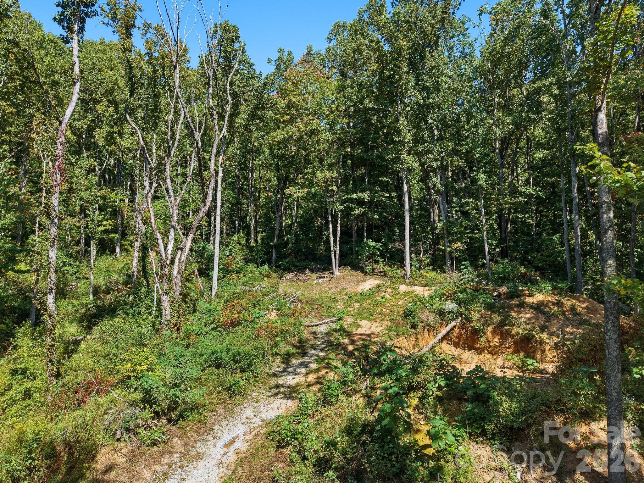 Lot at 6 Pioneer Lane, Hendersonville, photo 9 of 27
