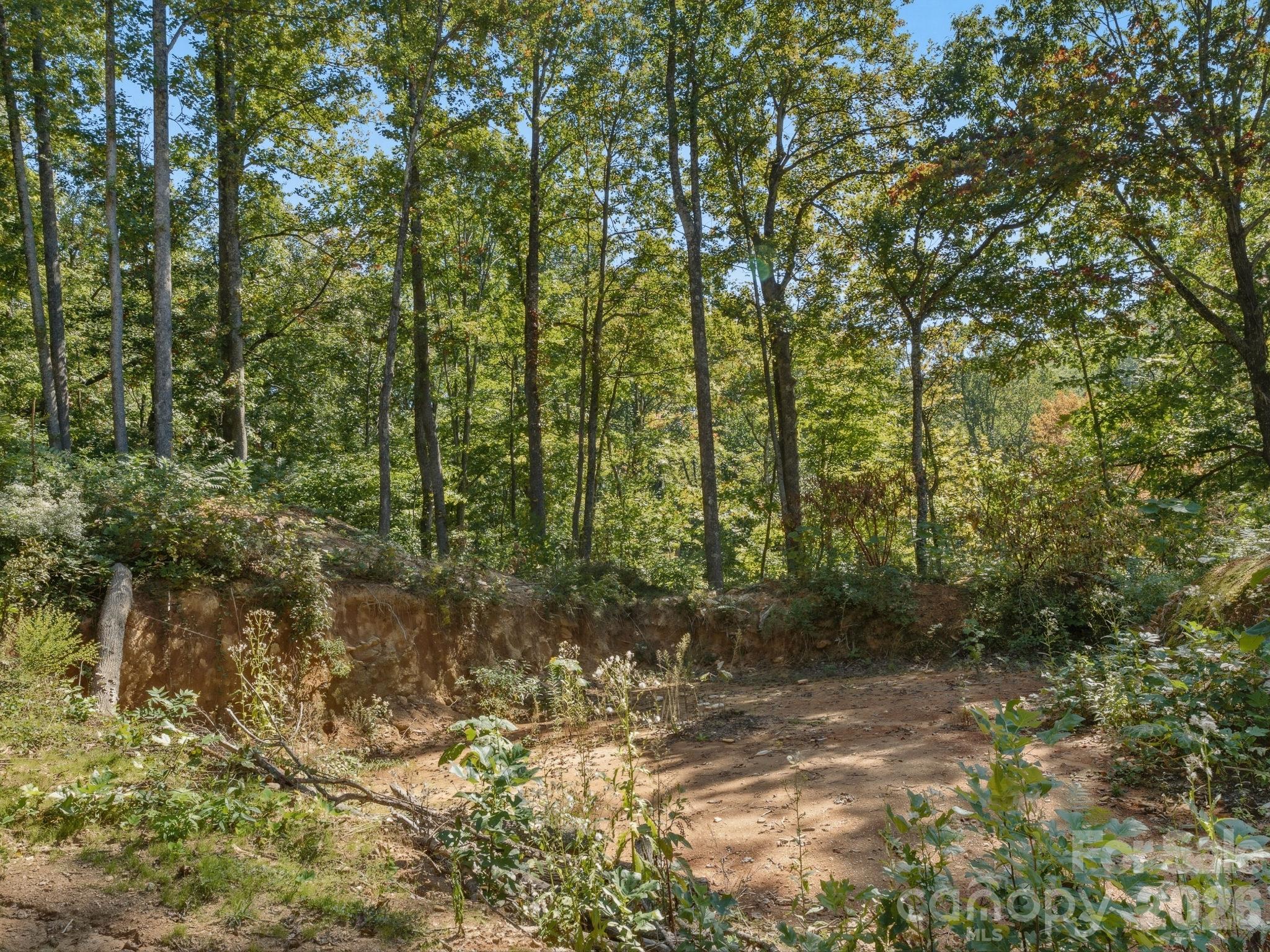 Lot at 6 Pioneer Lane, Hendersonville, photo 10 of 27