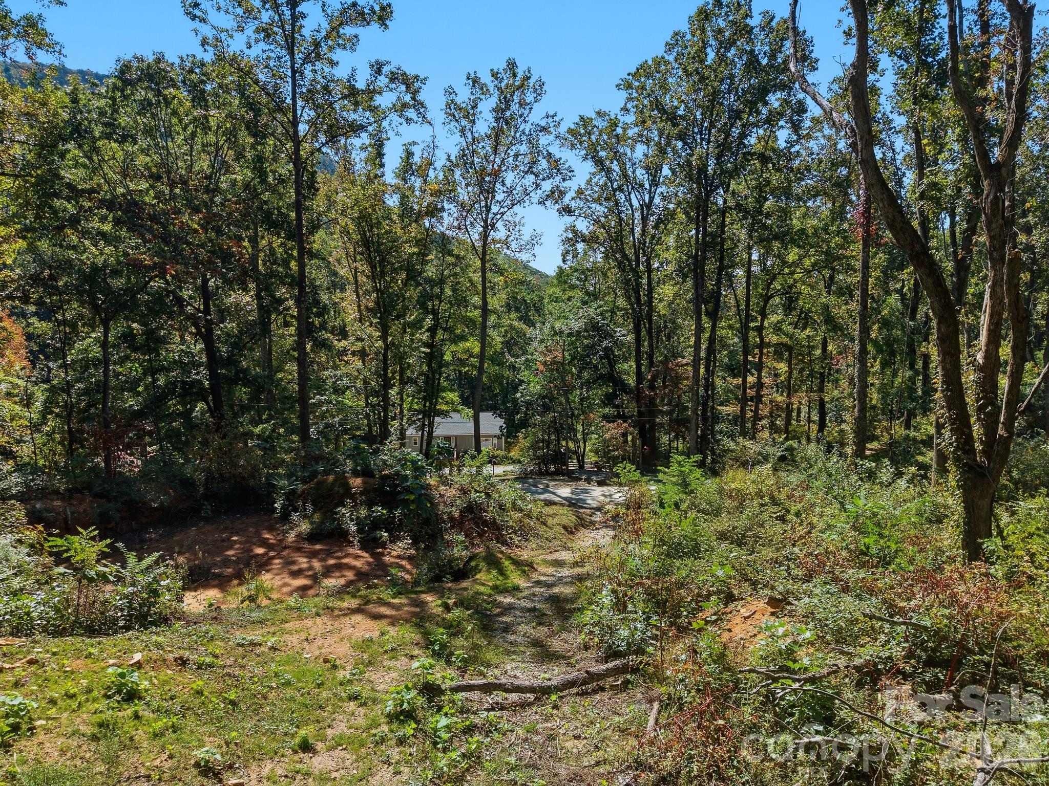 Looking from cleared area back down to Pioneer Ln - 6 Pioneer Lane, Hendersonville