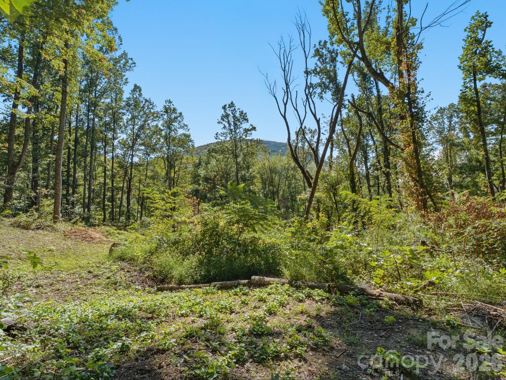 Lot at 6 Pioneer Lane, Hendersonville, photo 25 of 27