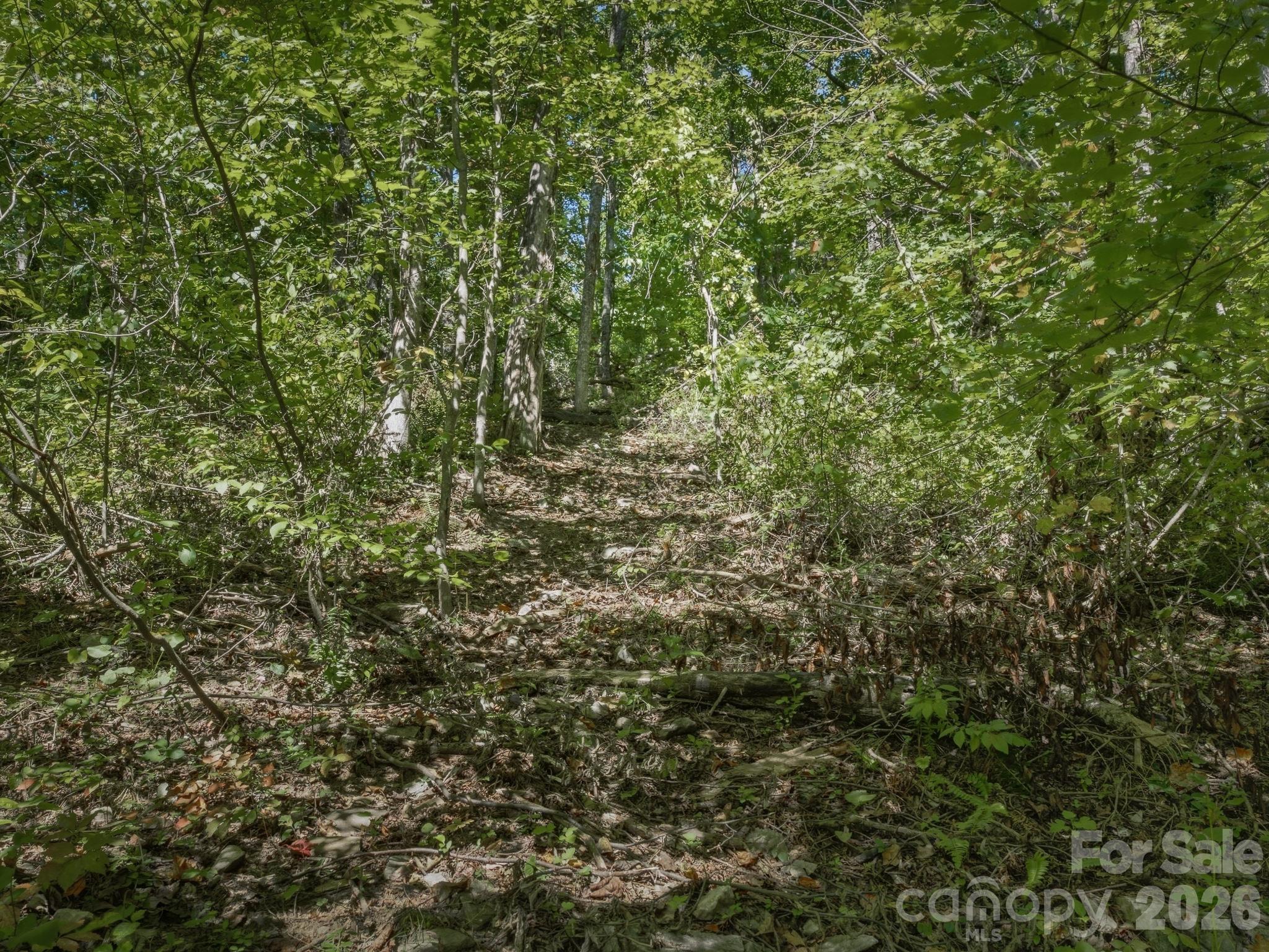 Lot at 6 Pioneer Lane, Hendersonville, photo 26 of 27