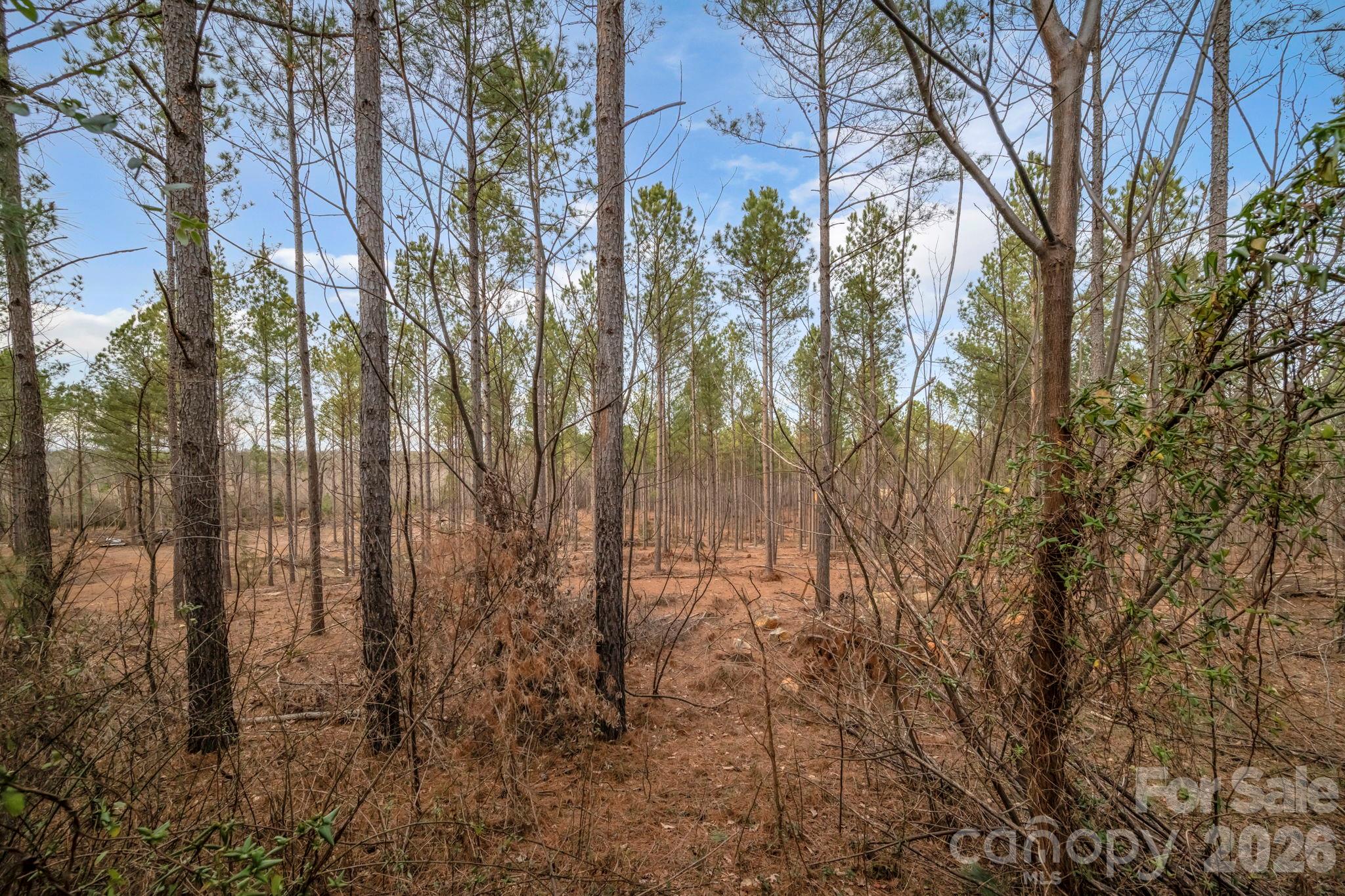 23.11 private acres. Come build your dream home, farm, timber, hunt, and more! - 7812-A Hwy 742 Highway, Marshville