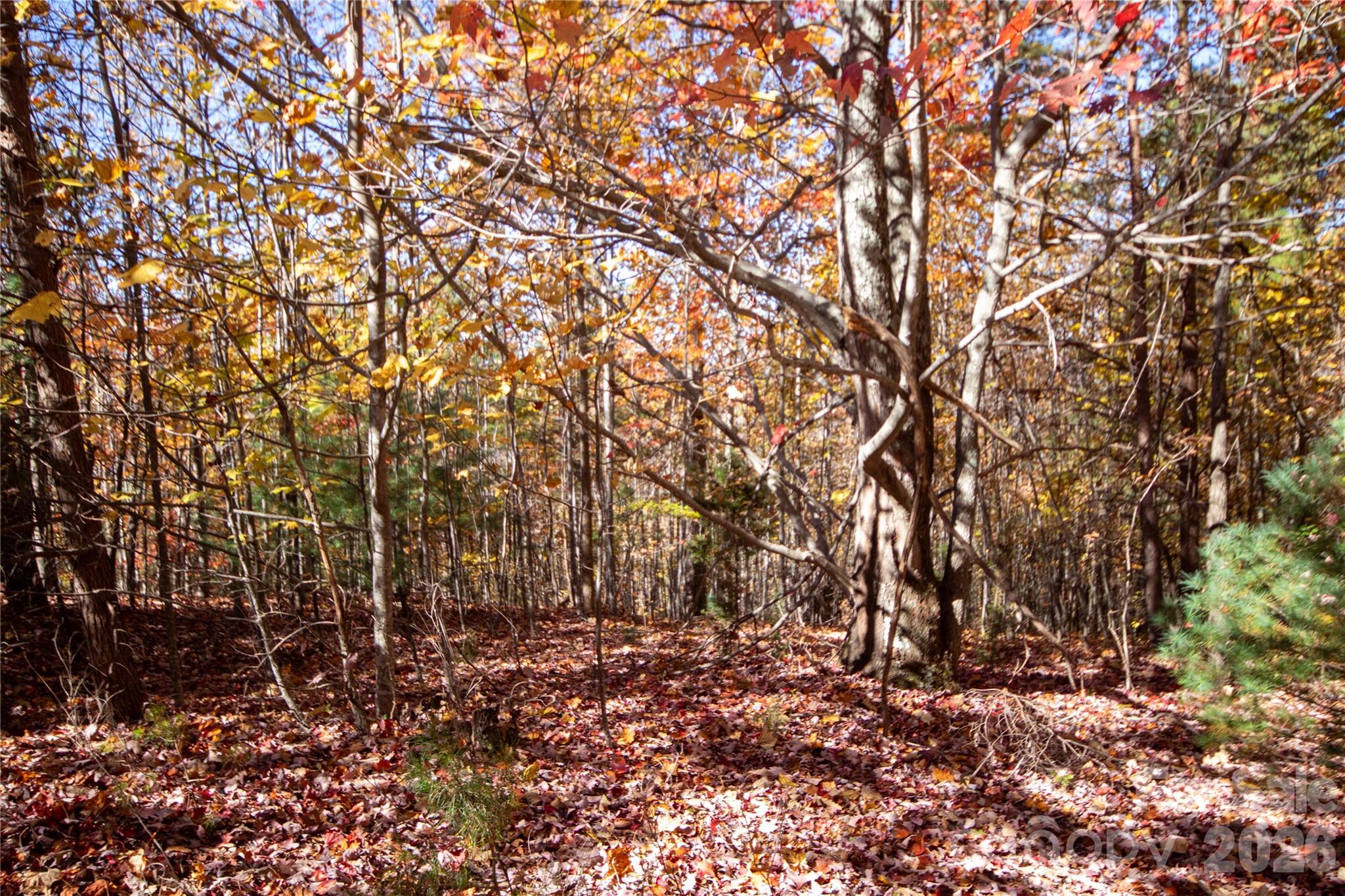 Lot# 4 Peregrine Terrace
