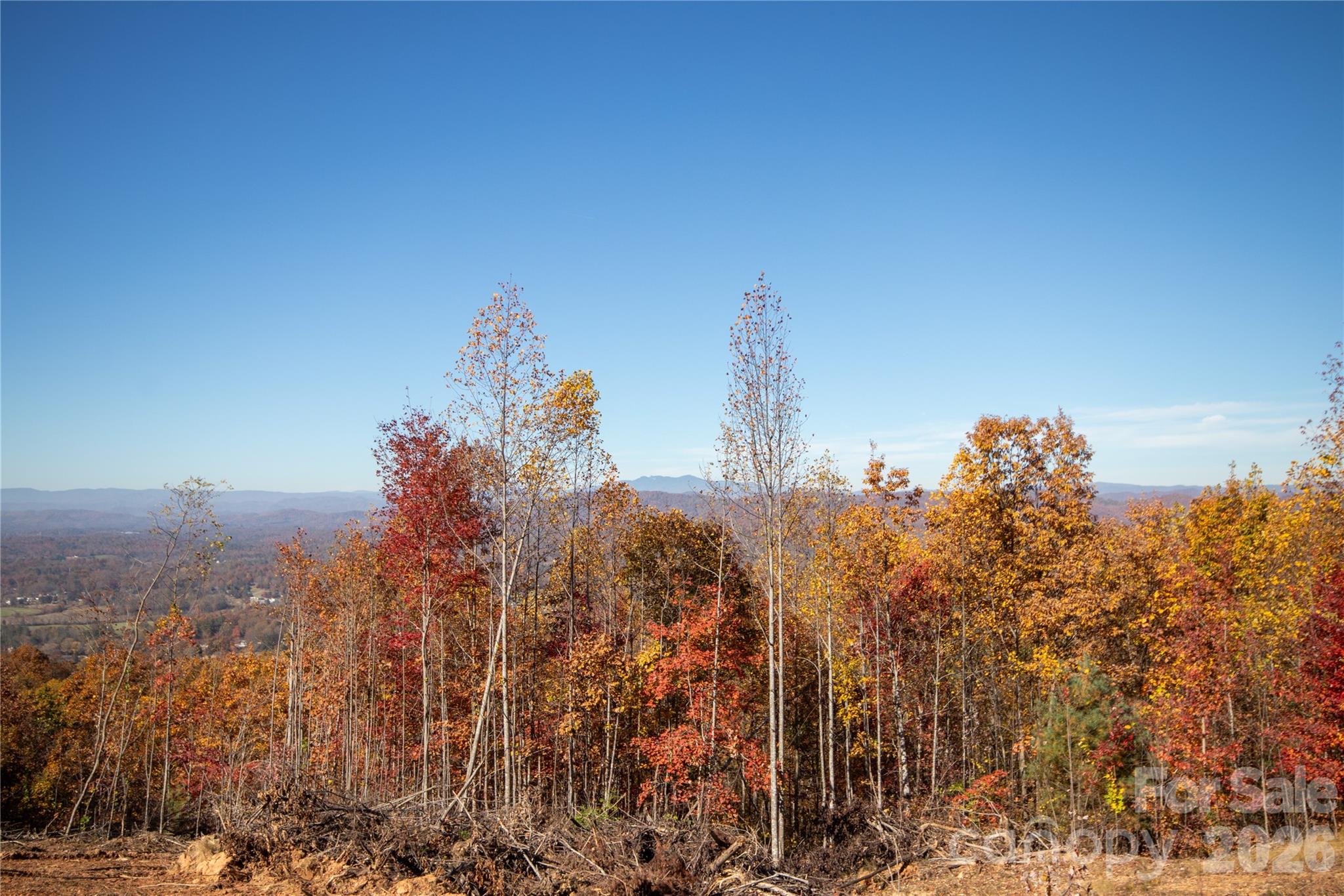 Taken From Lot#3 To Show View Once Cleared - Lot# 4 Peregrine Terrace, Lenoir