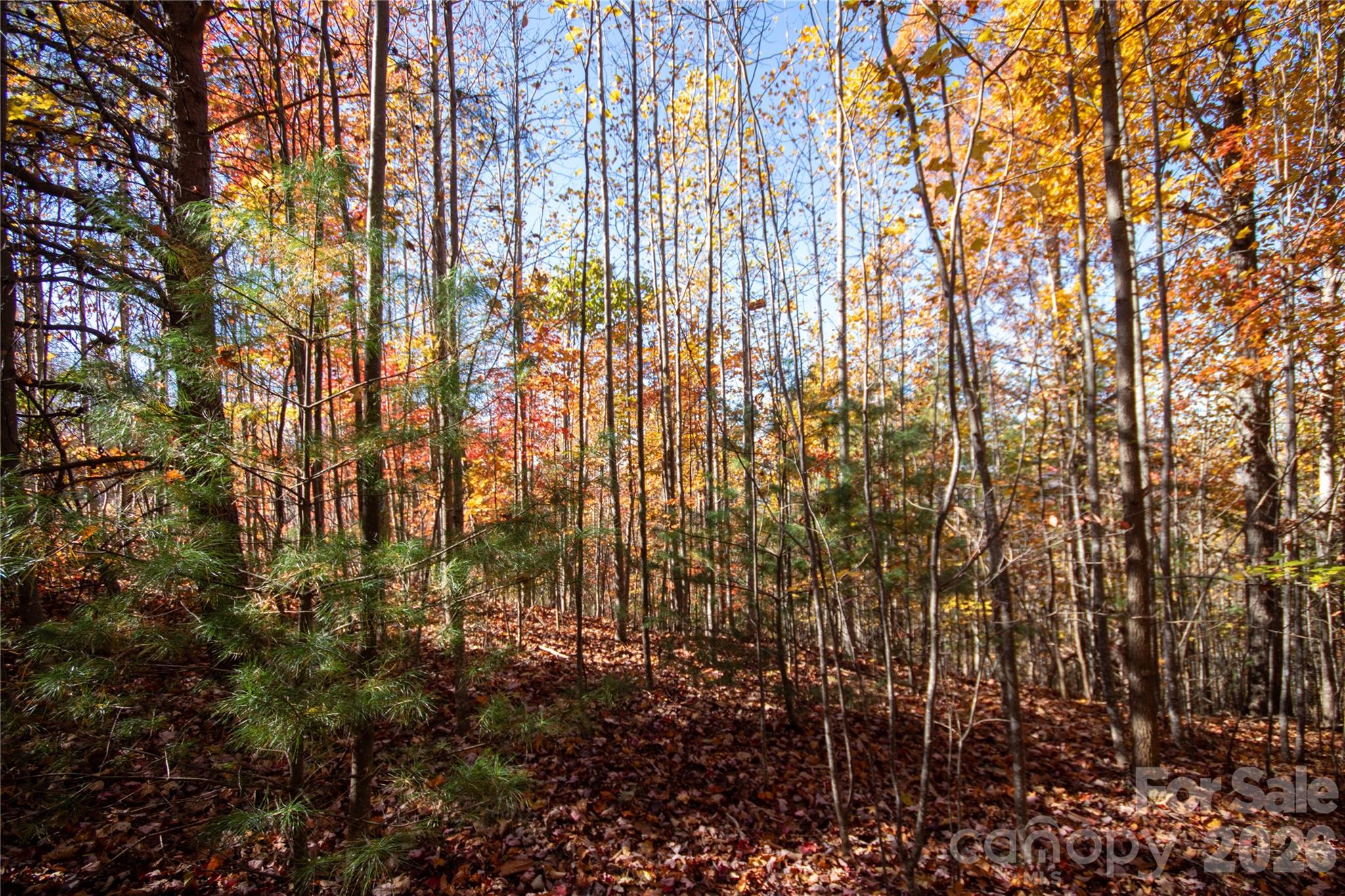 Lot at Lot# 4 Peregrine Terrace, Lenoir, photo 13 of 23