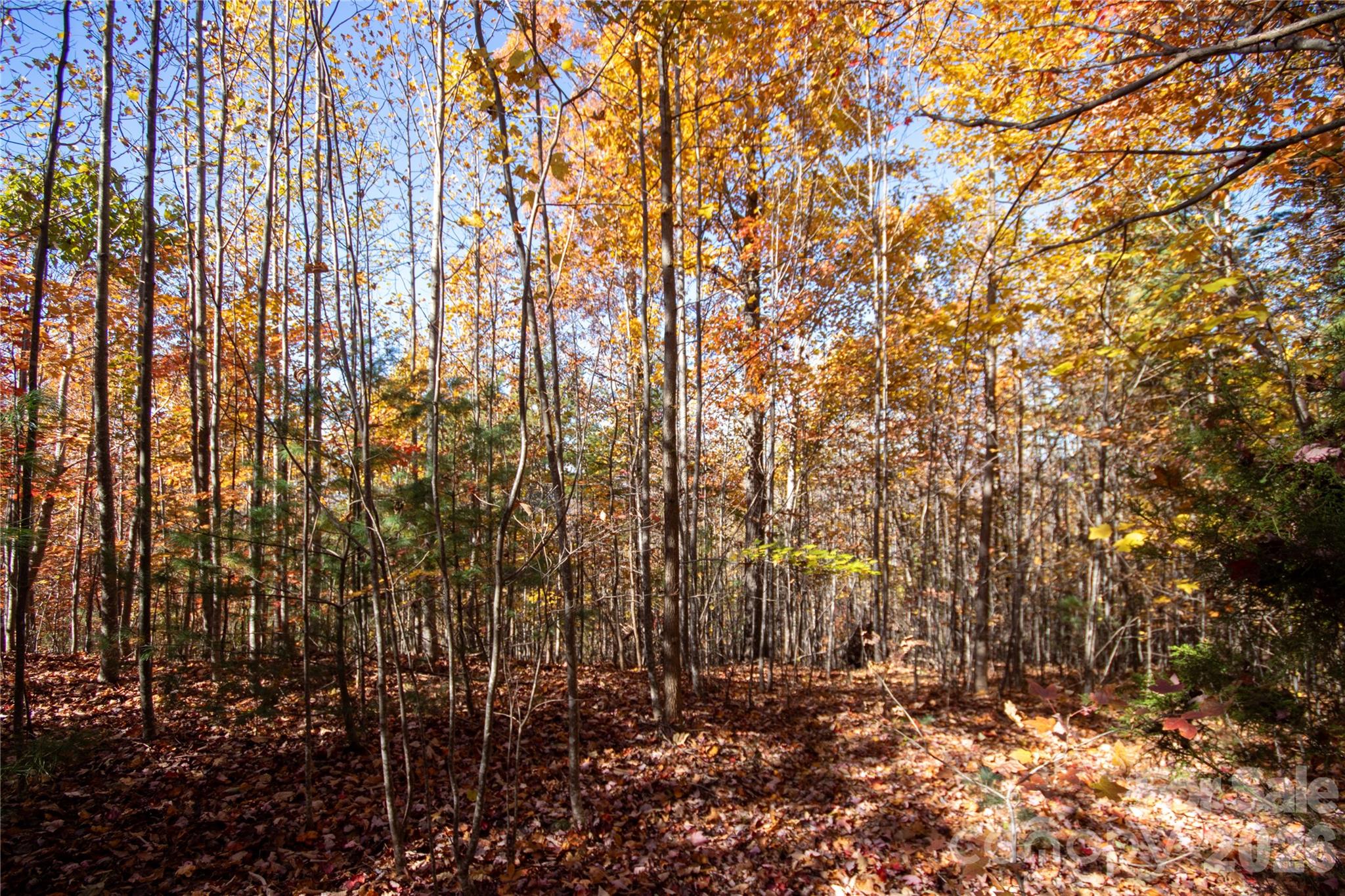 Lot at Lot# 4 Peregrine Terrace, Lenoir, photo 15 of 23